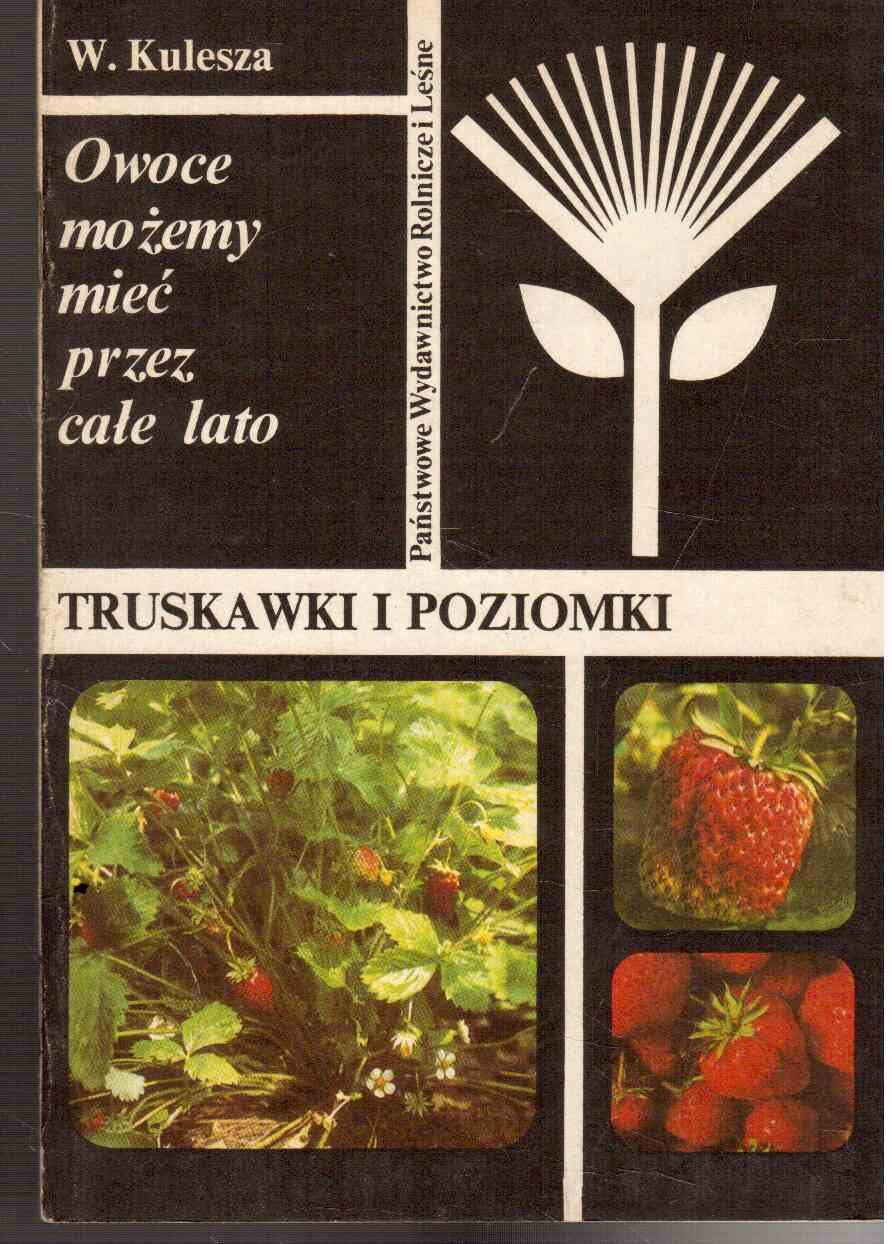 Truskawki i poziomki. Owoce mozemy miec przez cale lato Books