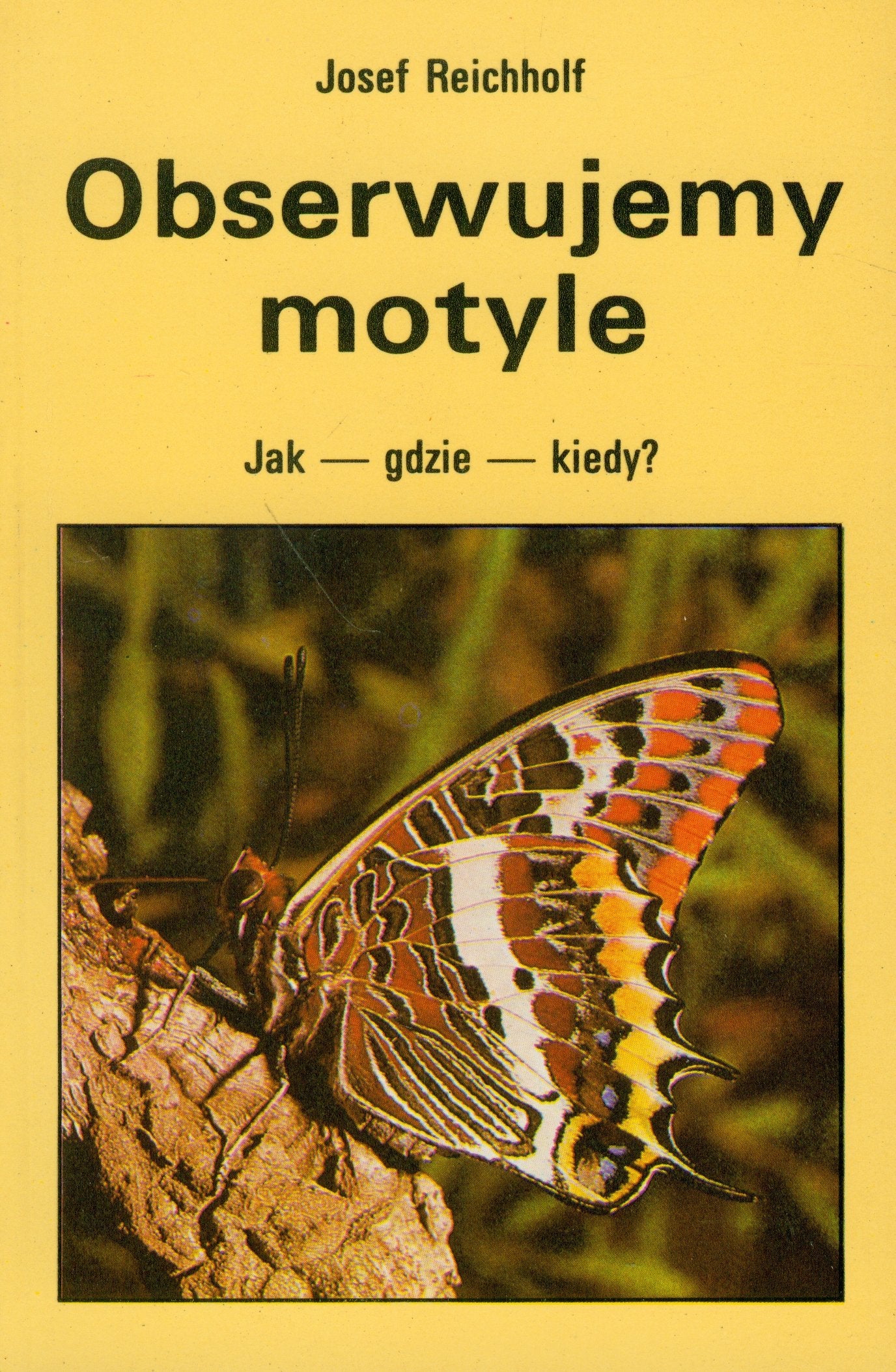 Obserwujemy motyle. Jak - gdzie - kiedy? Books