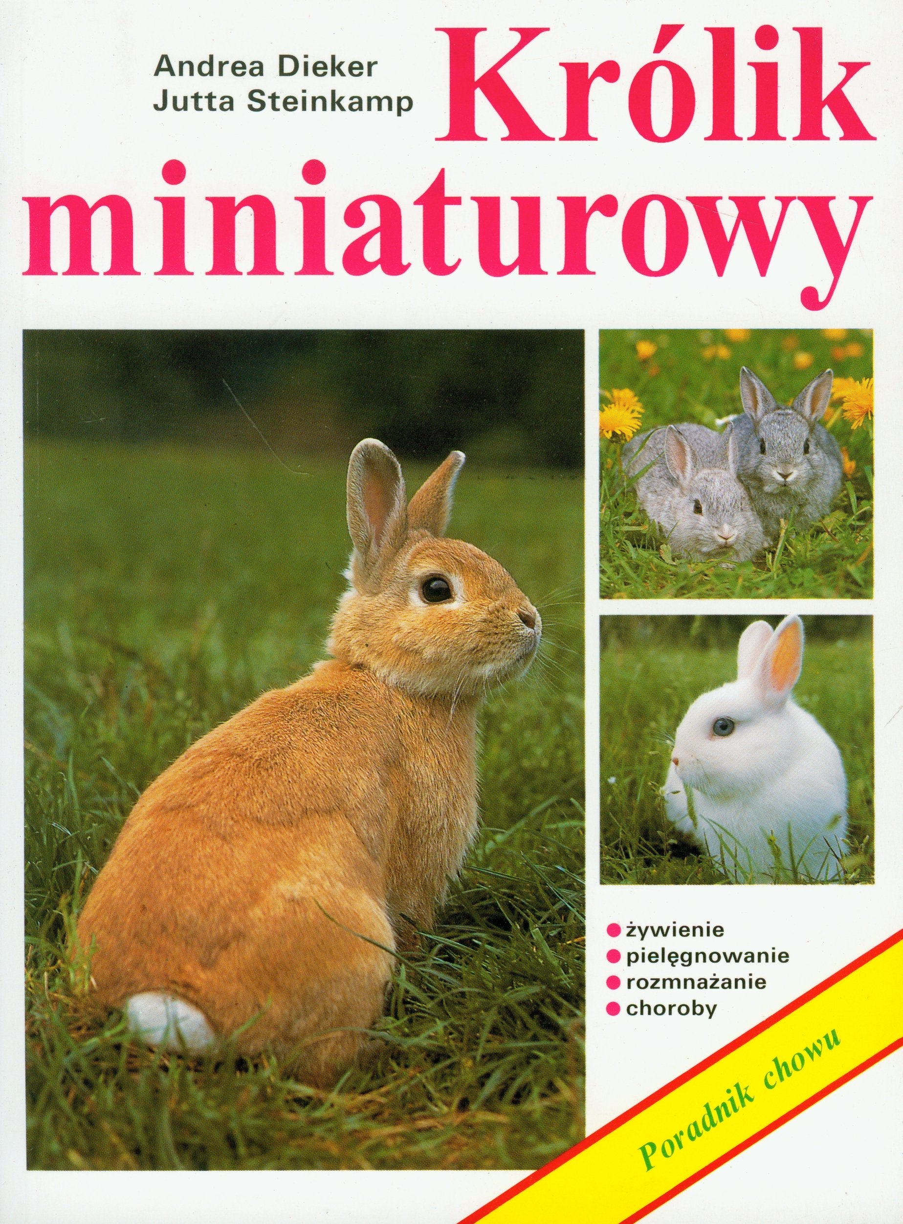 Królik miniaturowy (PORADNIK CHOWU) Books