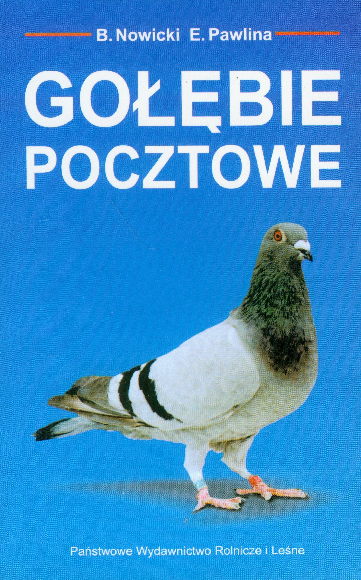 Golebie pocztowe book