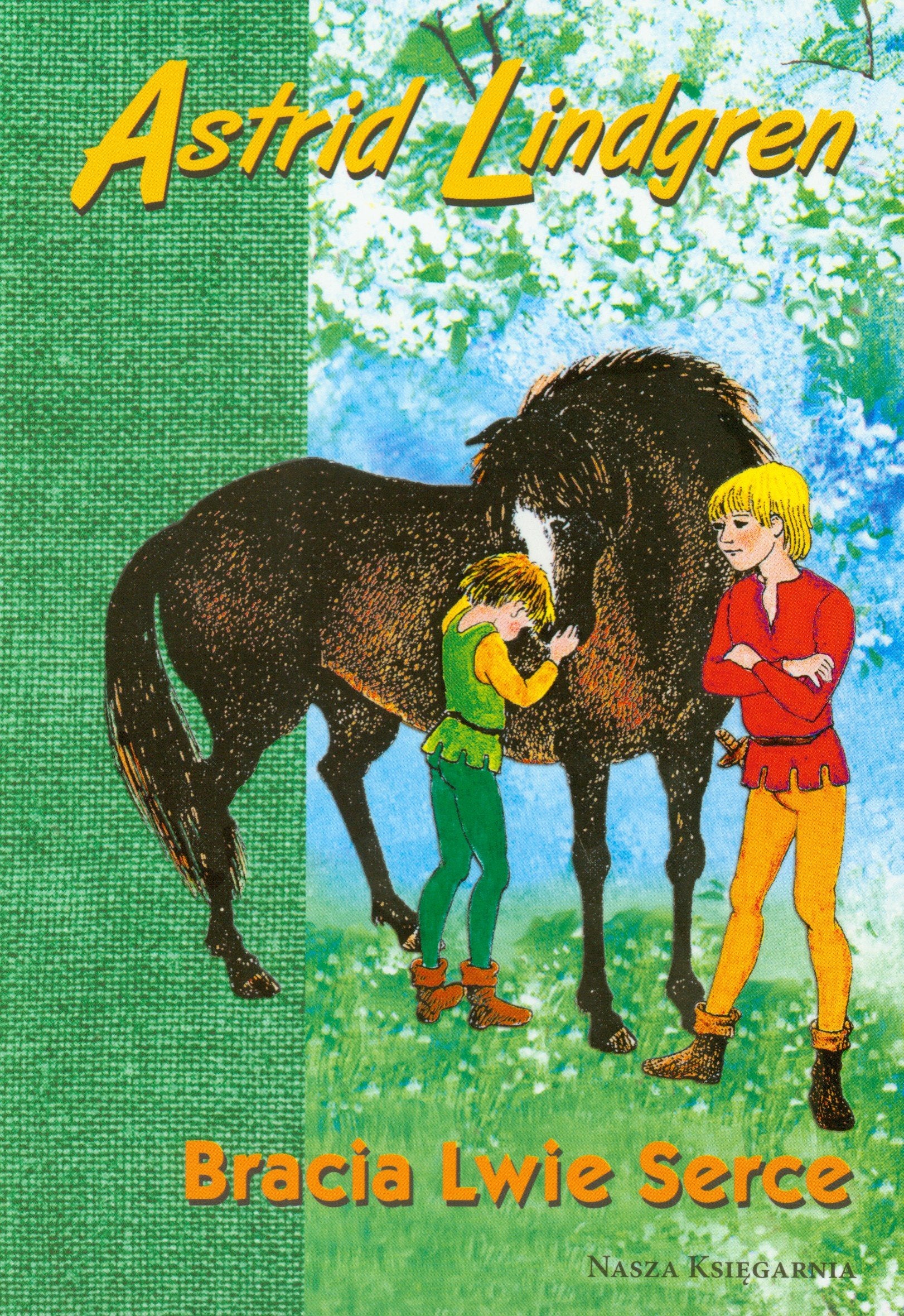 Bracia Lwie Serce Books