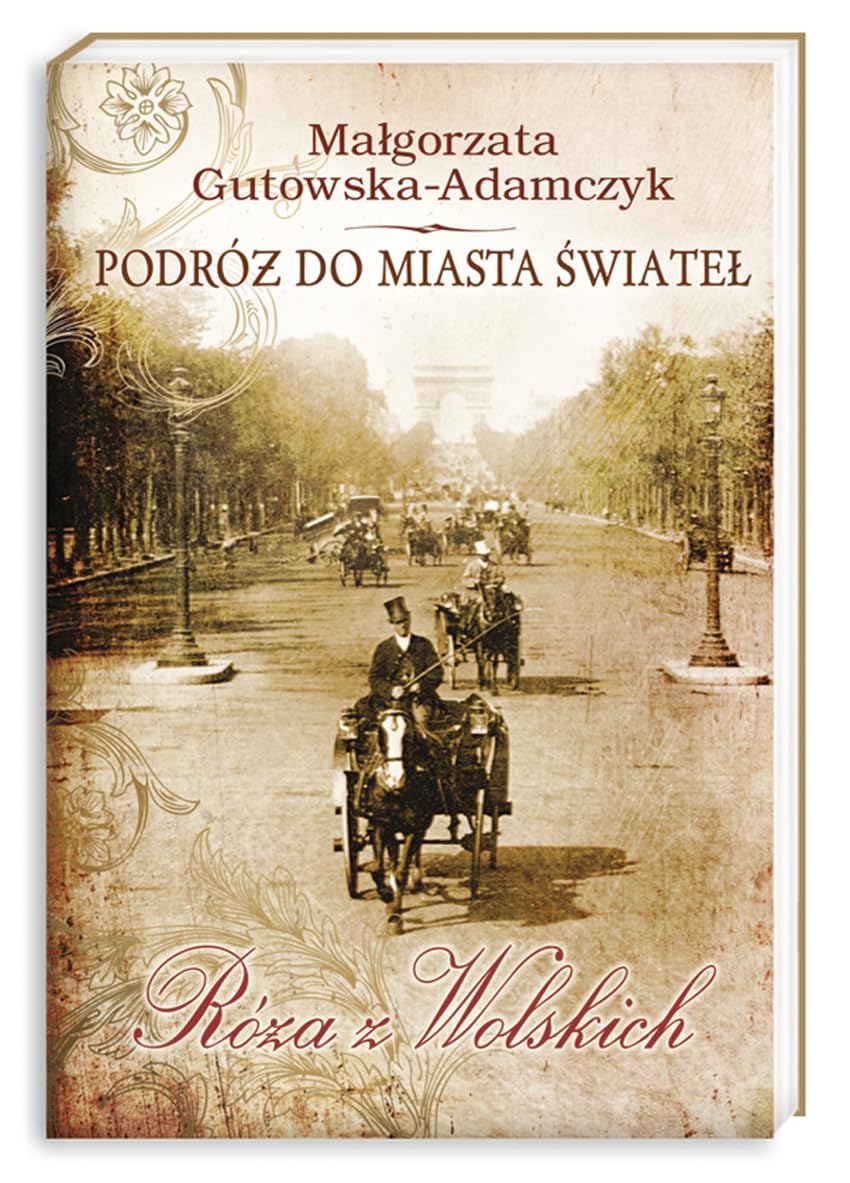 Podroz do miasta swiatel Roza z Wolskich Contemporary literature