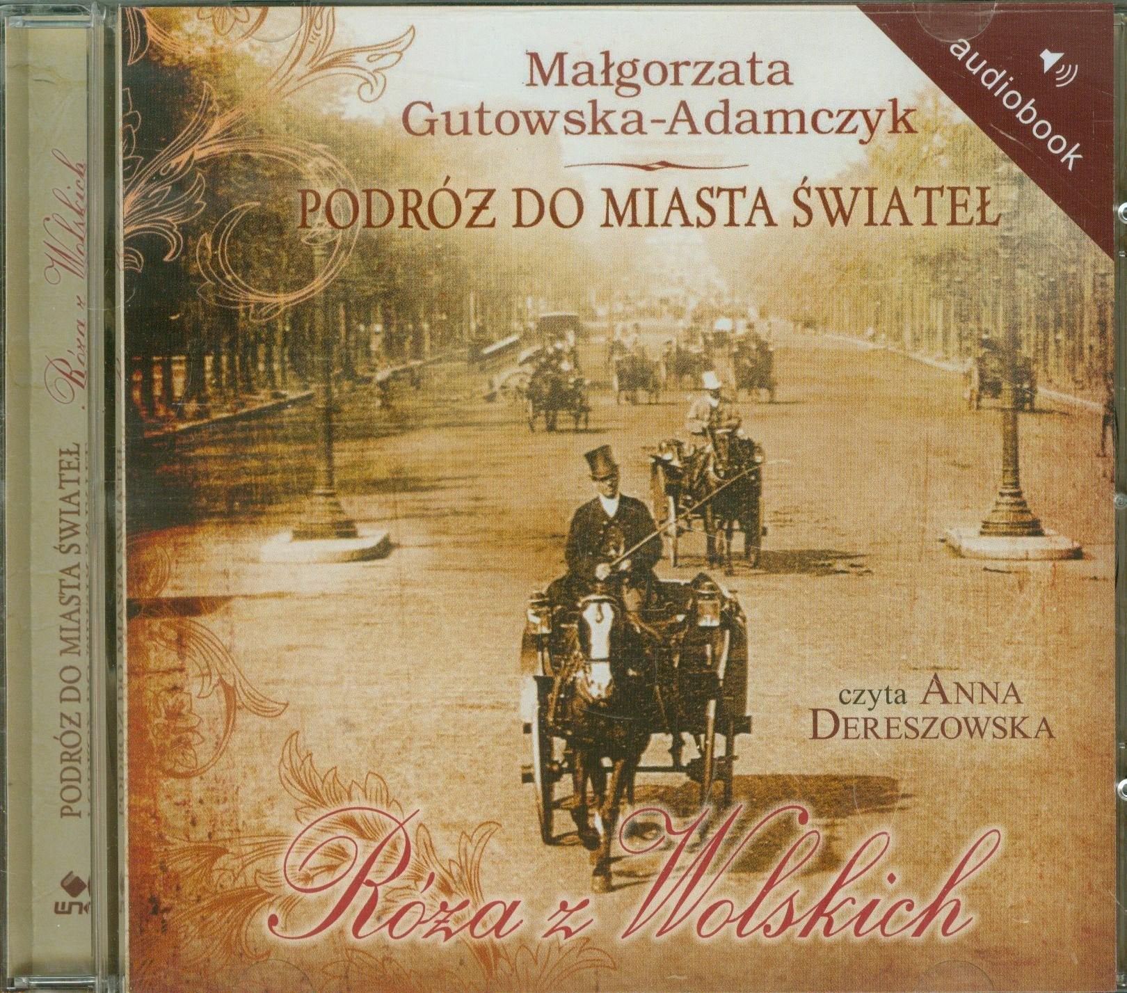 Podróż do miasta świateł Róża z Wolskich Books