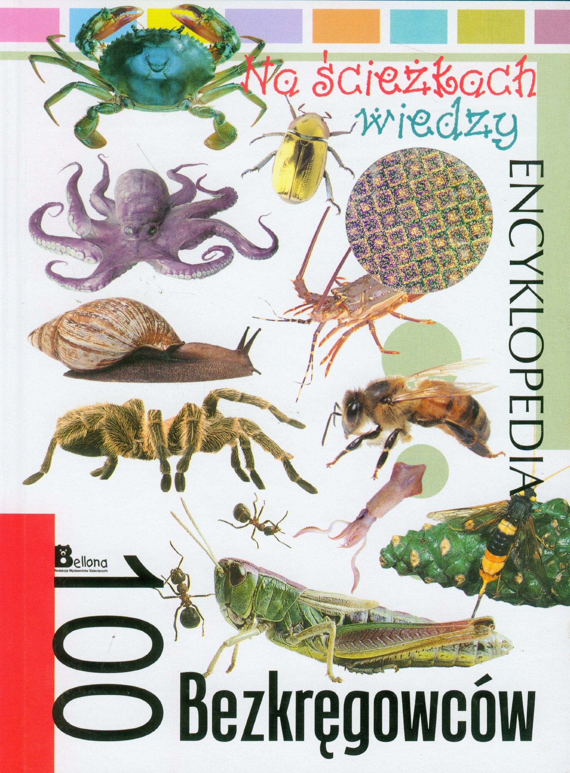 Na ścieżkach wiedzy 100 bezkręgowców 19 Books