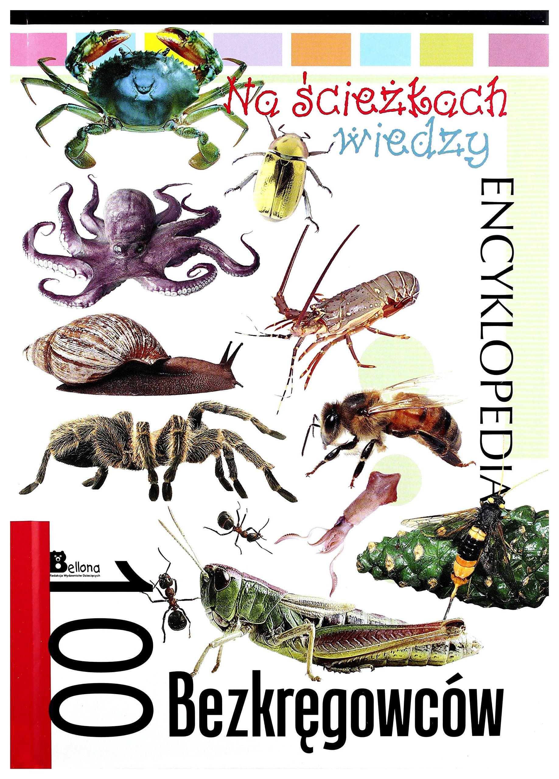 Na ĹcieĹzkach wiedzy. 100 bezkrÄgowcĂlw book