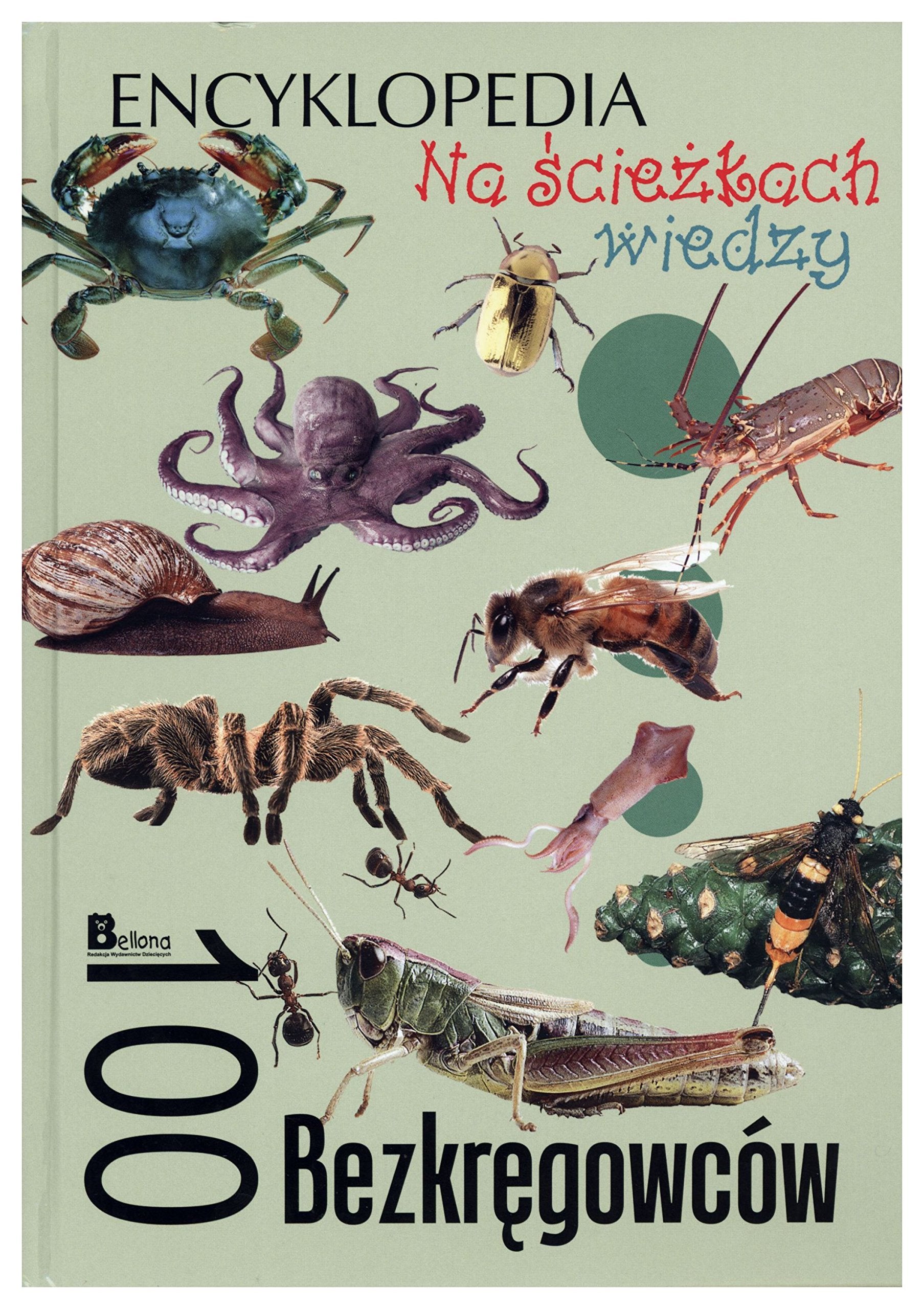 Na sciezkach wiedzy. 100 bezkregowcow Books