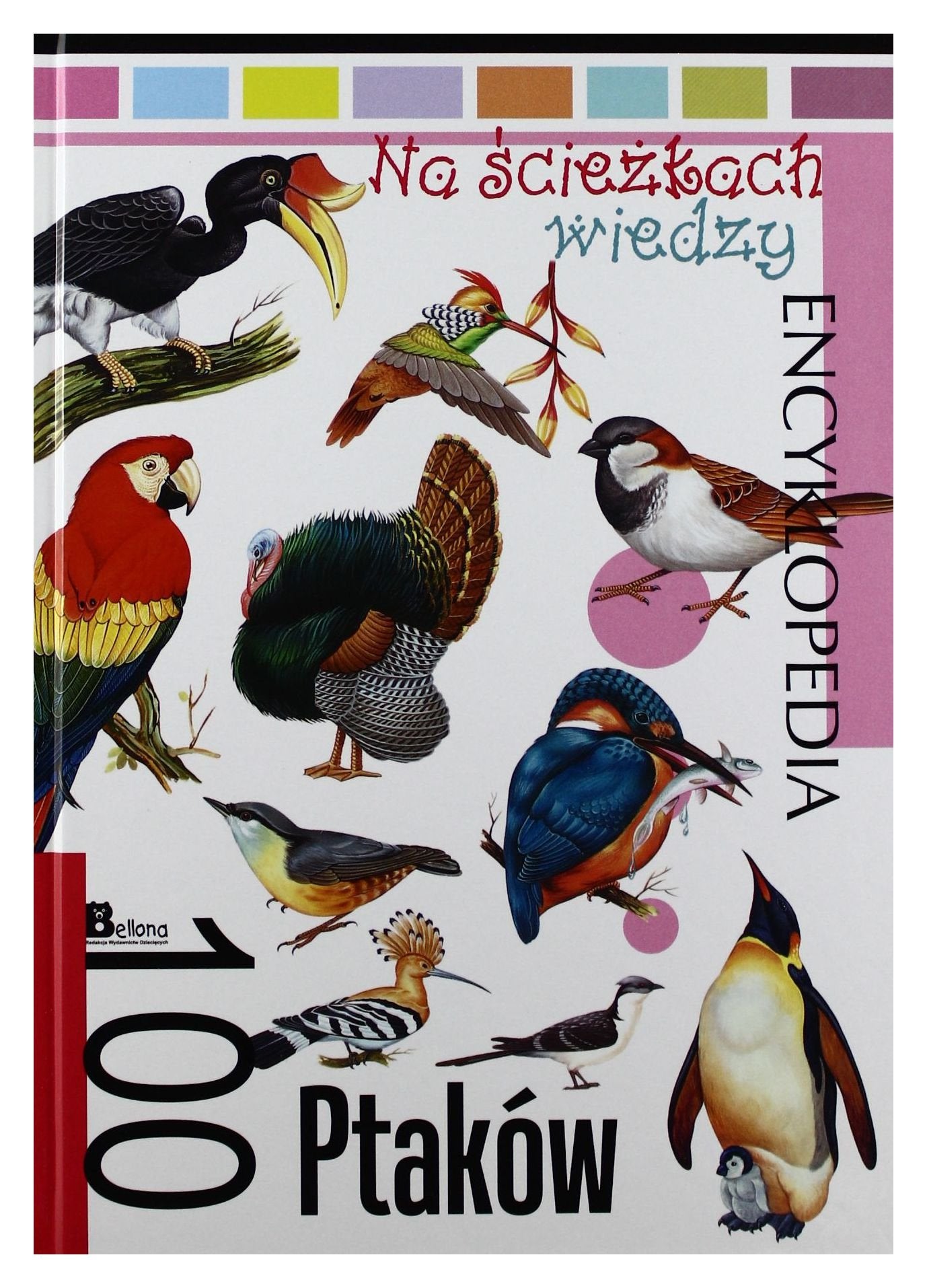 Na sciezkach wiedzy. 100 ptakow Books
