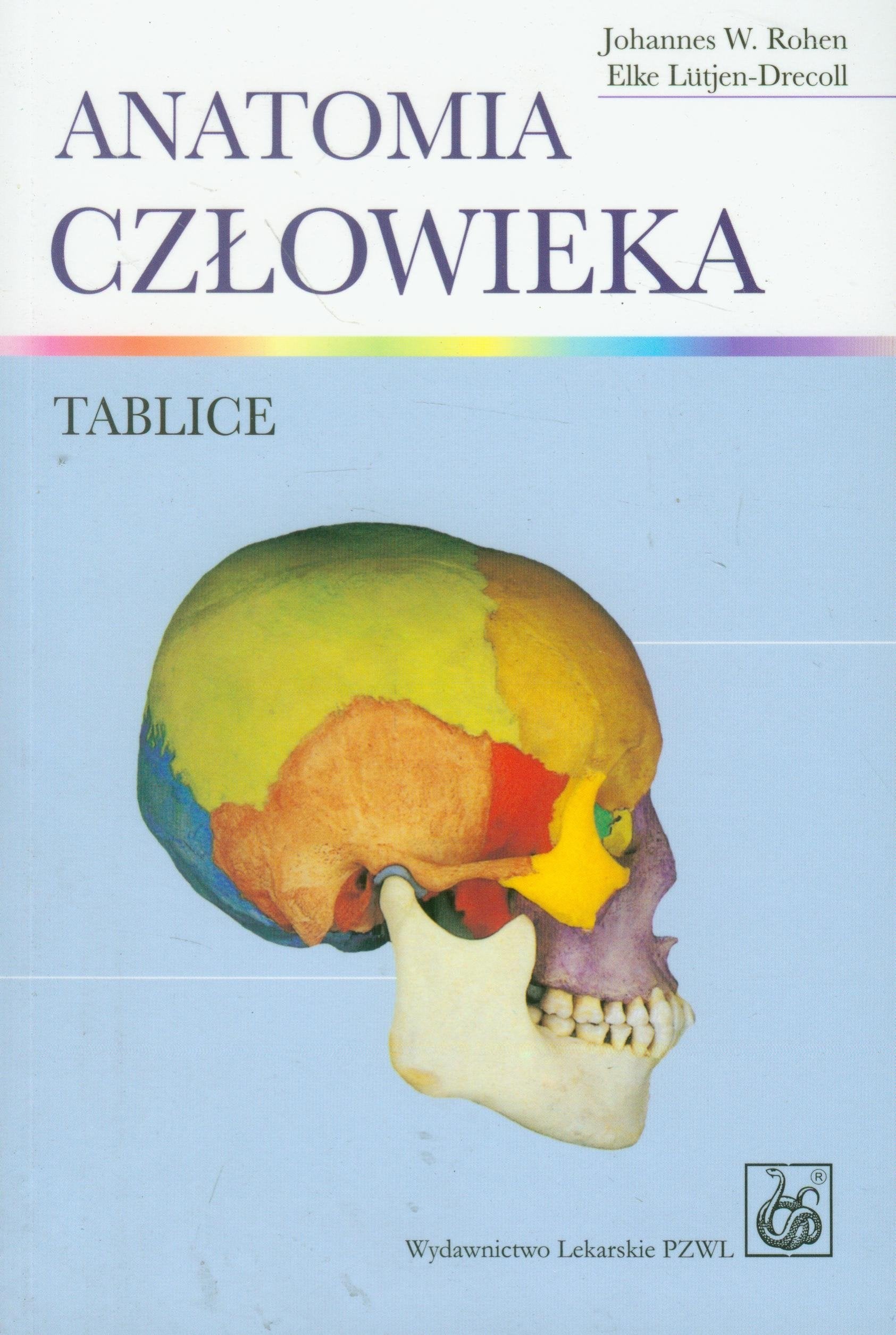Anatomia czlowieka Tablice Medicine