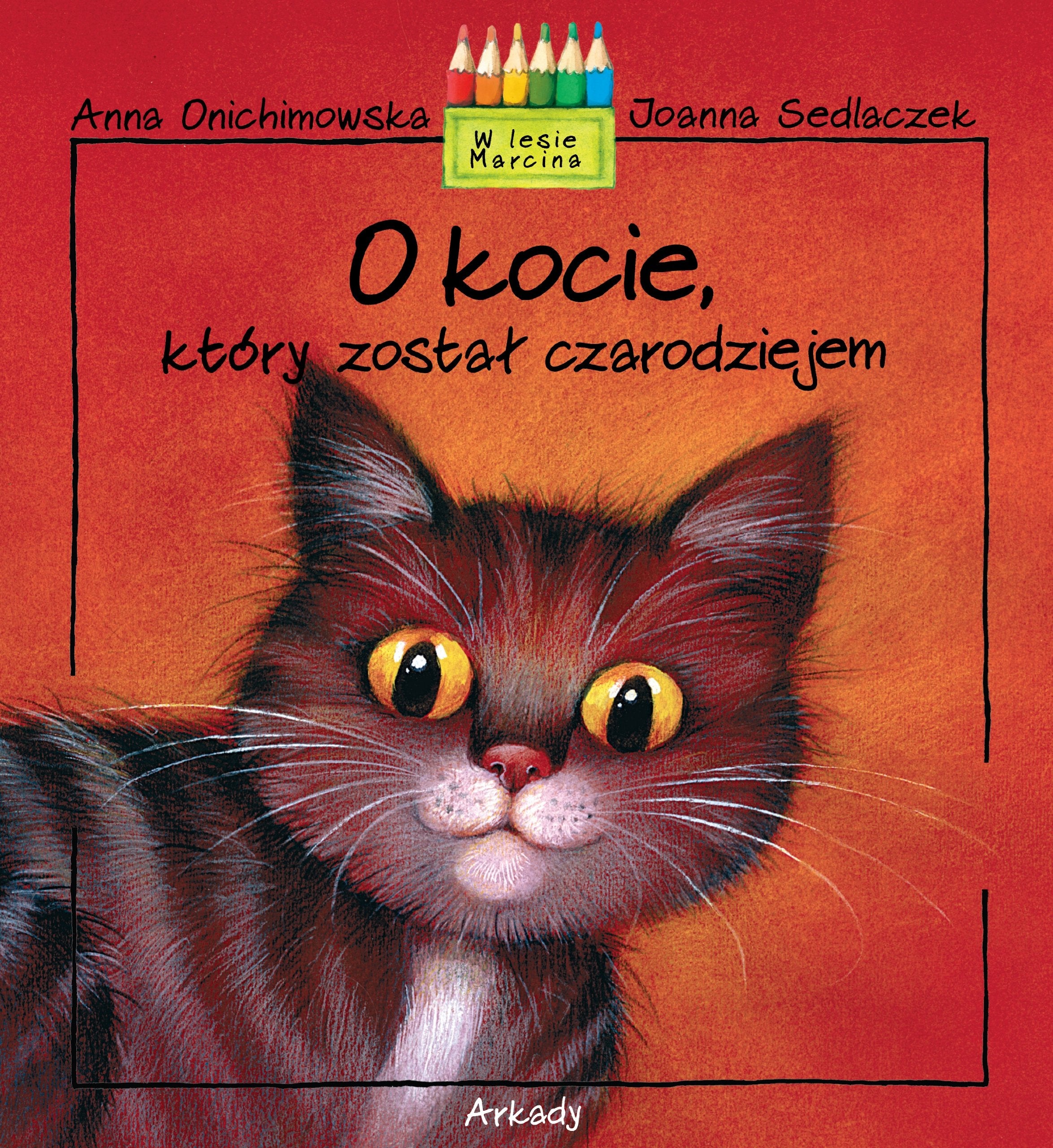 O kocie, ktory zostal czarodziejem Fairy Tales & Legends