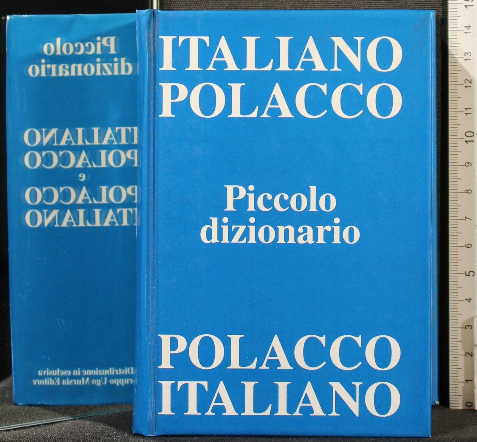 Maly slownik wlosko-polski, polsko-wloski Books