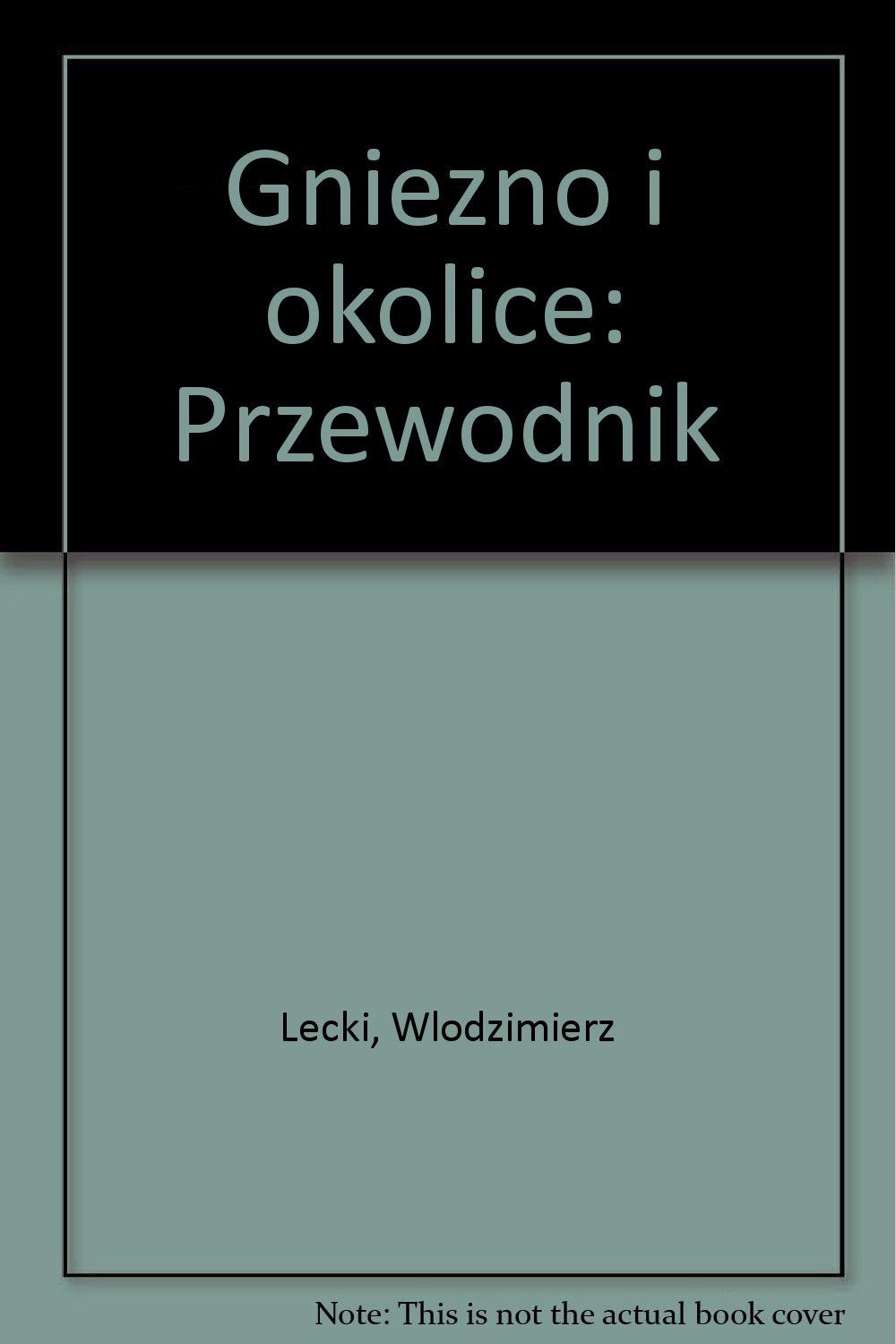 Gniezno i okolice: Przewodnik (Polish Edition) Books