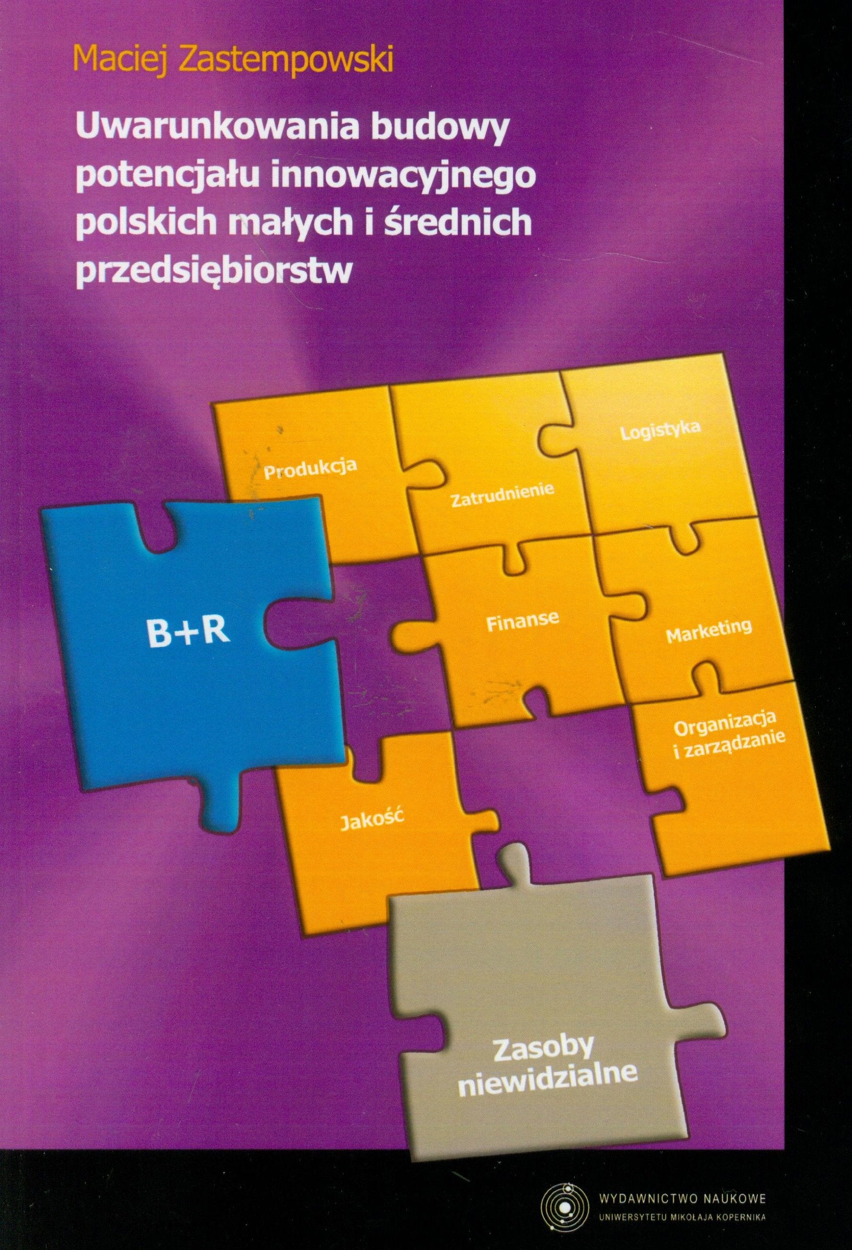 Uwarunkowania budowy potencjału innowacyjnego polskich małych i średnich przedsiębiorstw Books