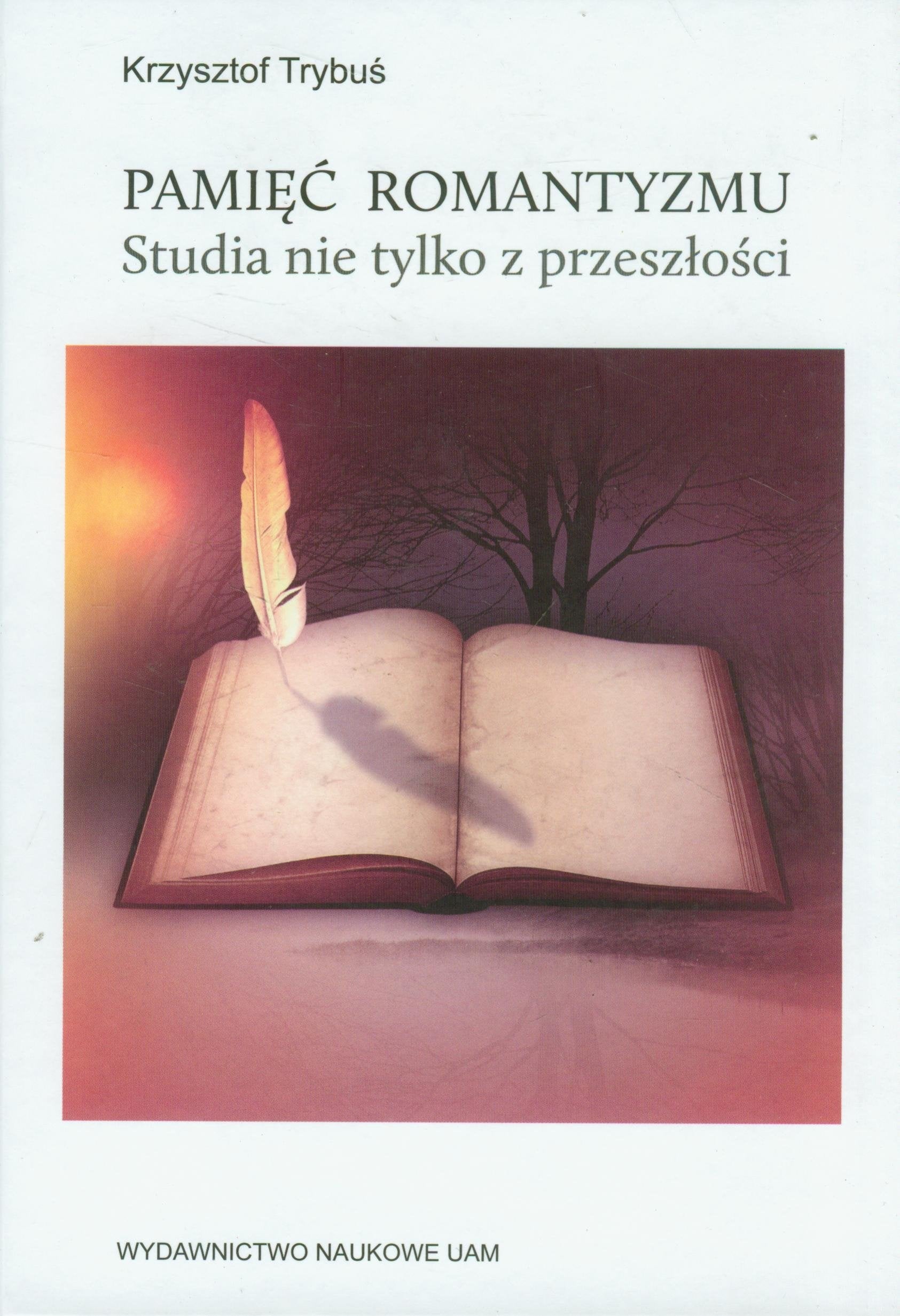 Pamiec romantyzmu Studia nie tylko z przeszlosci (FILOLOGIA POLSKA) Contemporary literature