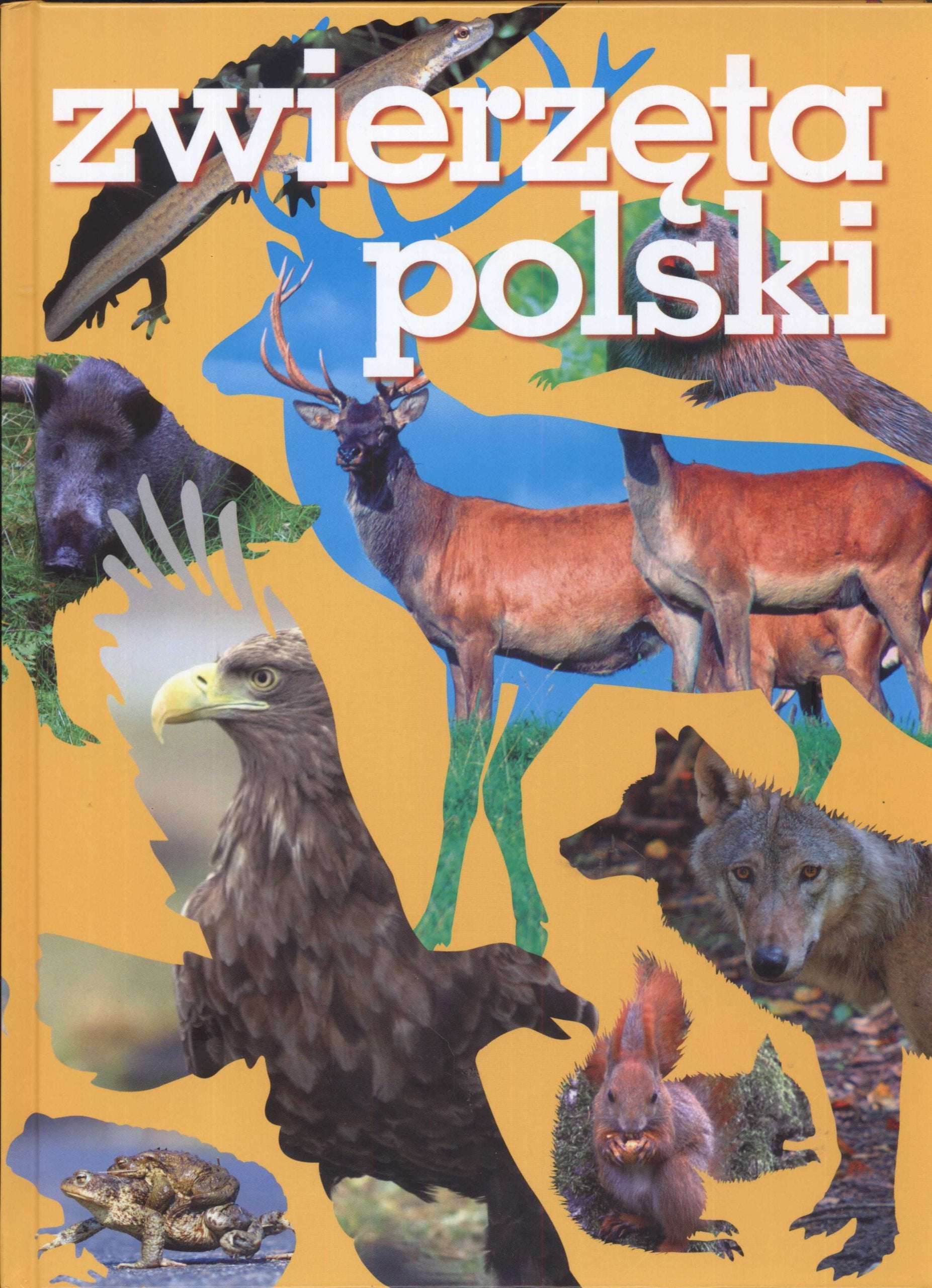 Product Image: Zwierzeta Polski