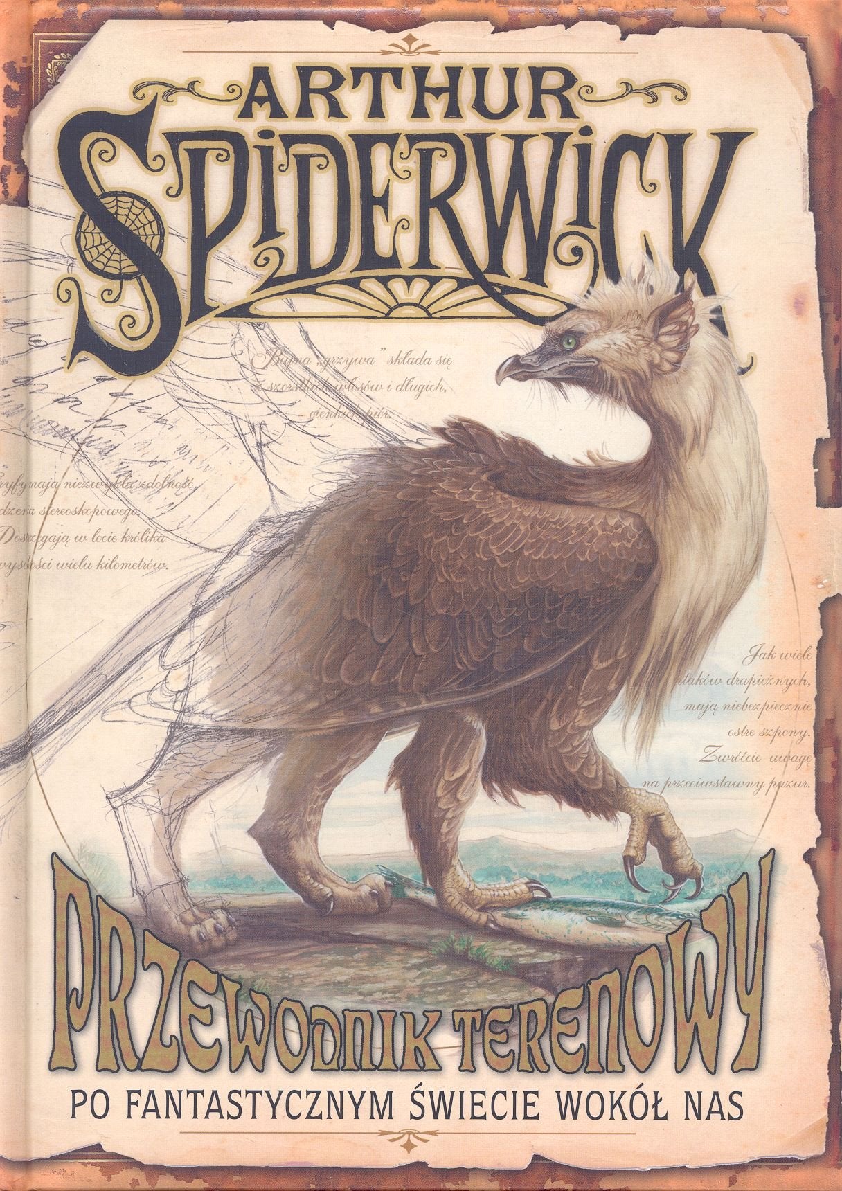 Kroniki Spiderwick Przewodnik terenowy po fantastycznym swiecie wokol nas Books