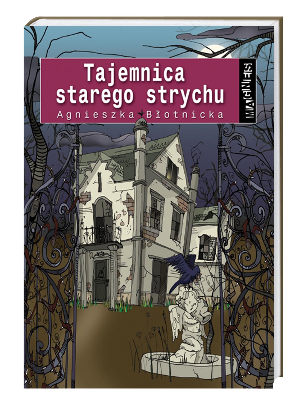 Magnes Tajemnica starego strychu Books