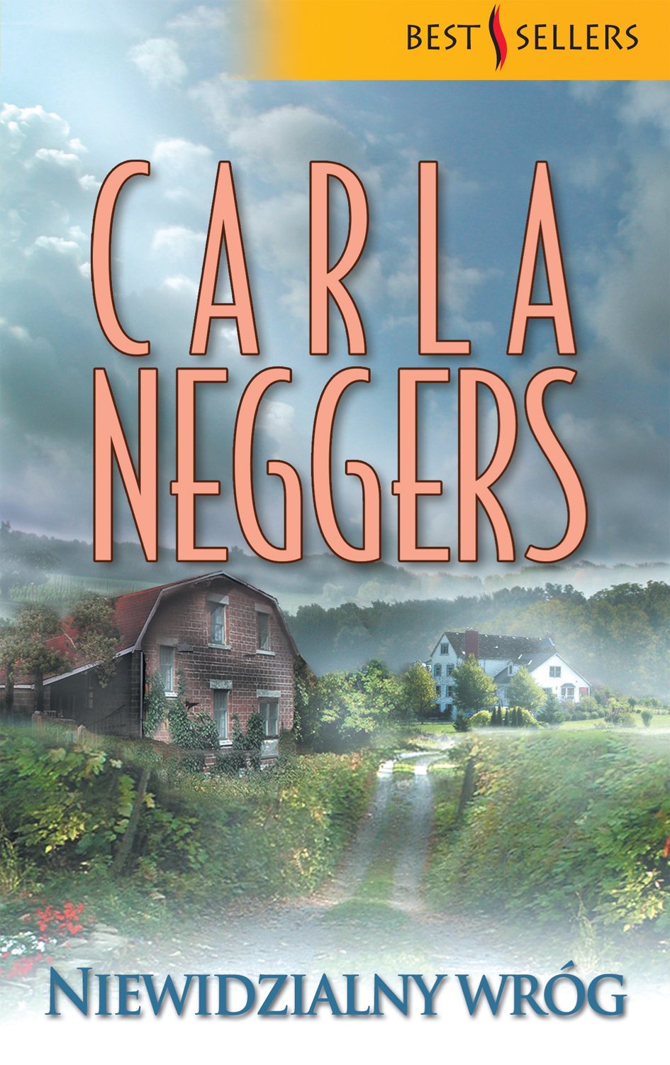 Niewidzialny wróg (Bestsellers) Books