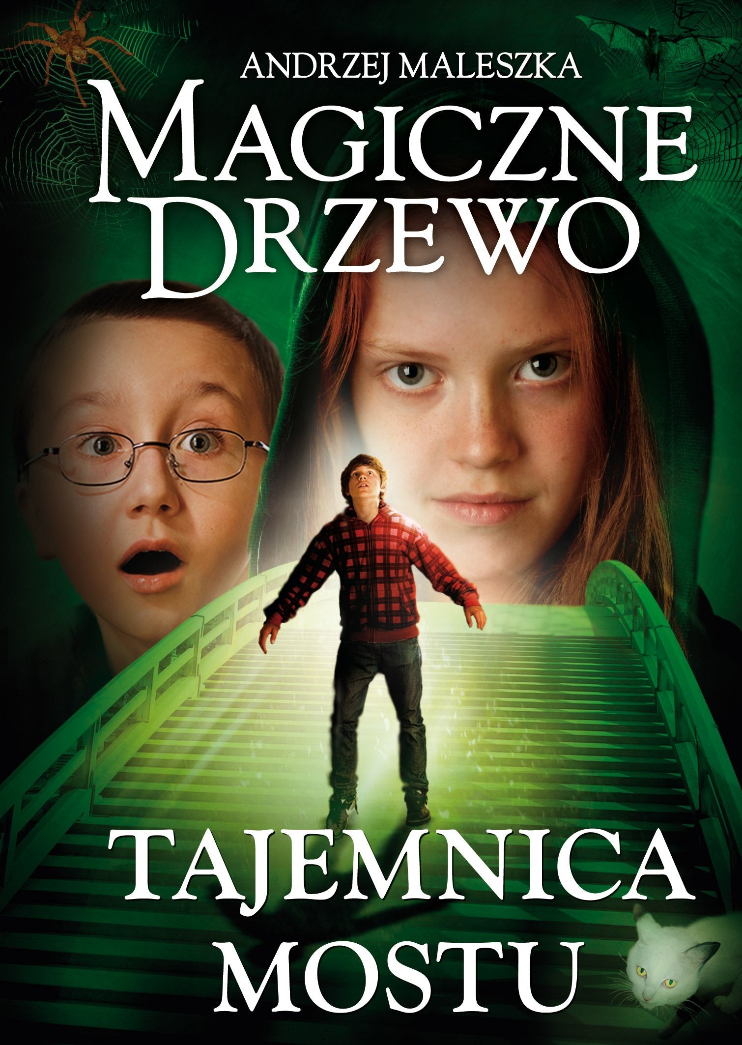 Magiczne Drzewo Tajemnica mostu book