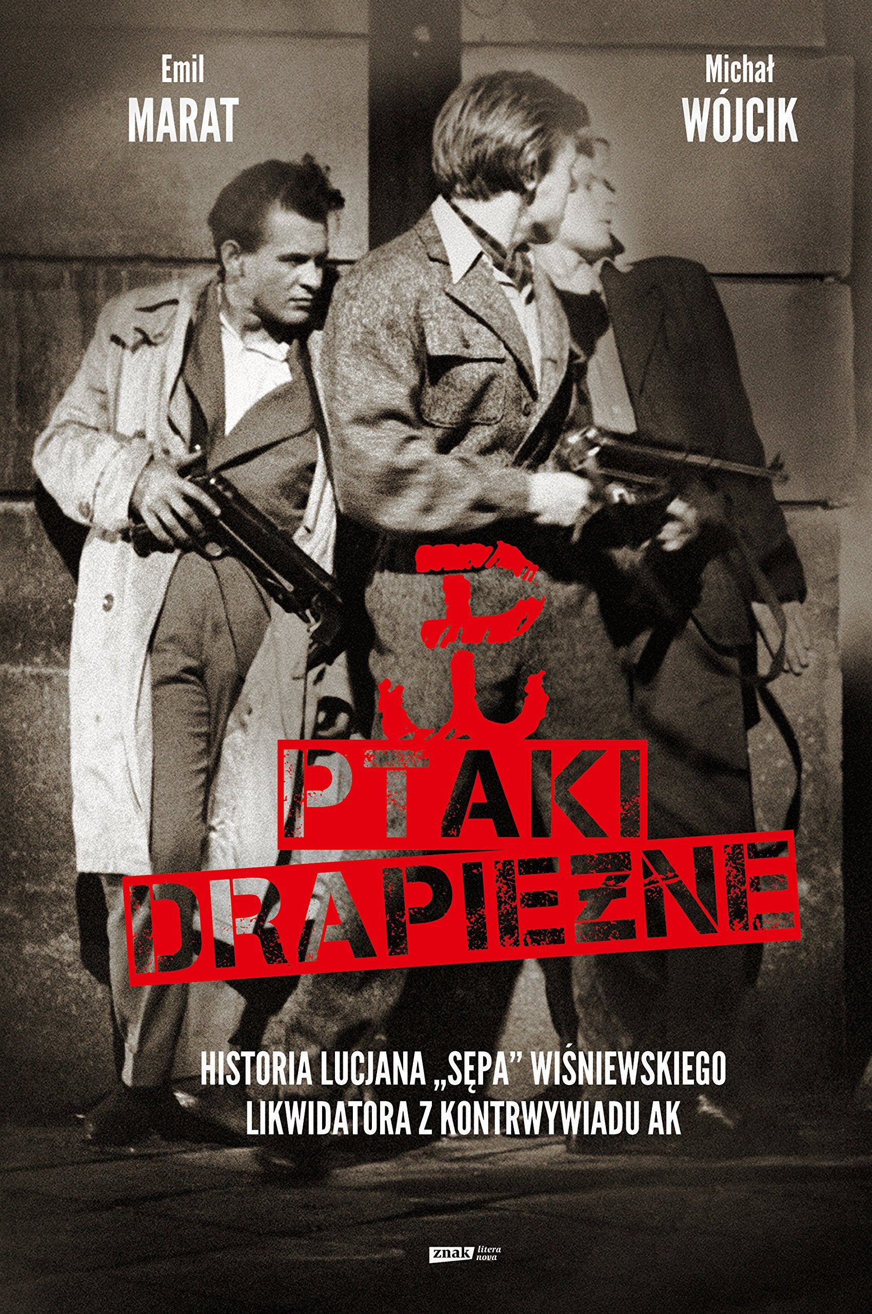 Ptaki drapiezne book