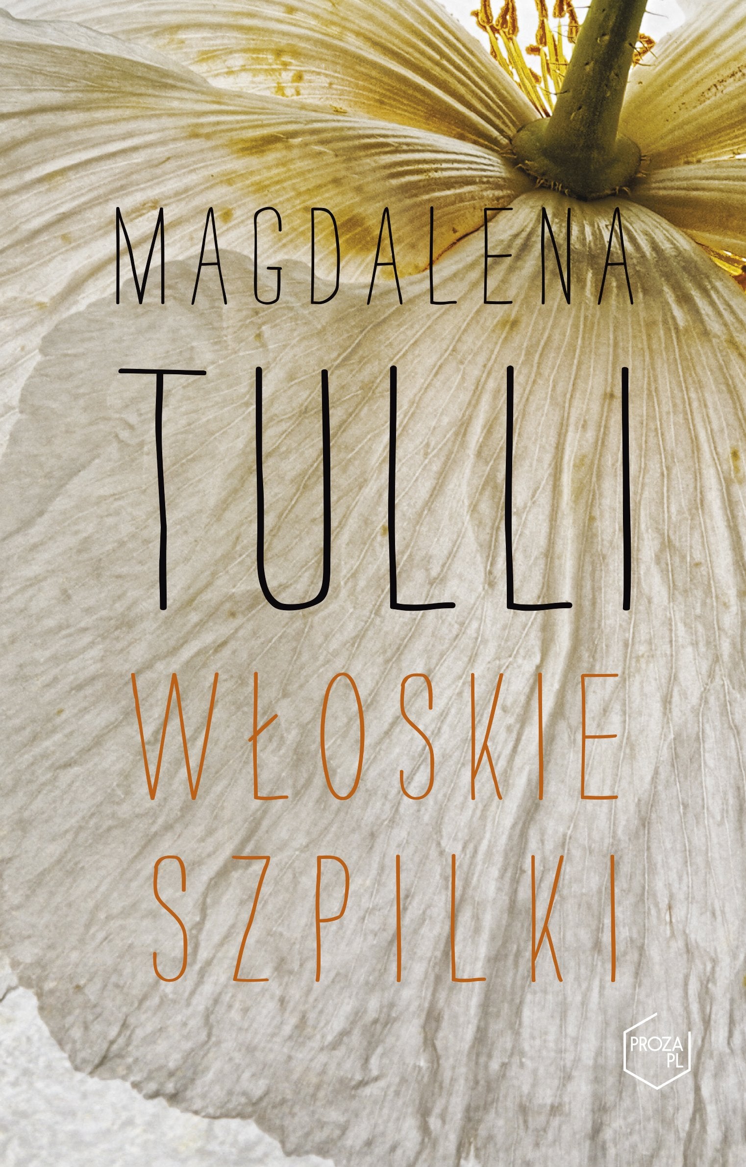 Wloskie szpilki Contemporary literature