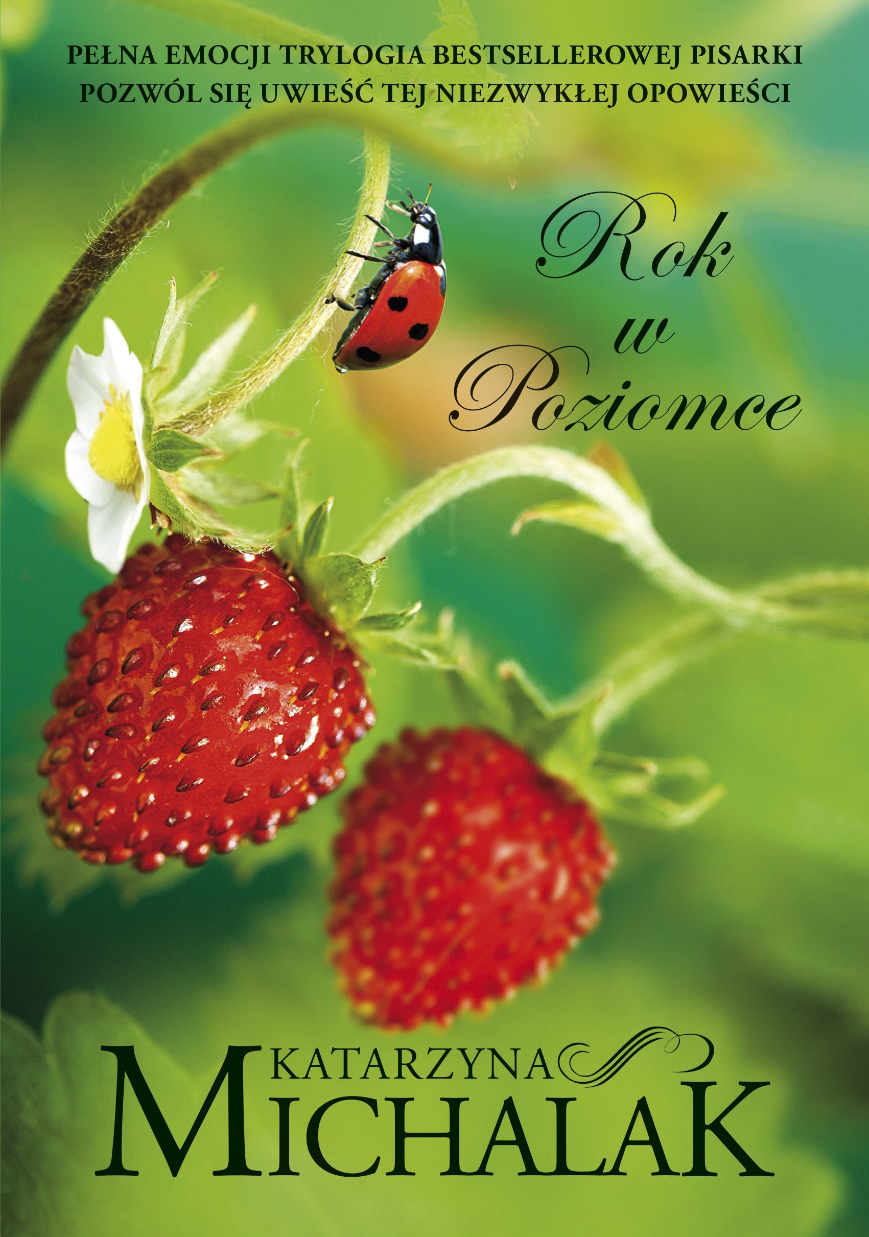 Rok w Poziomce Contemporary literature