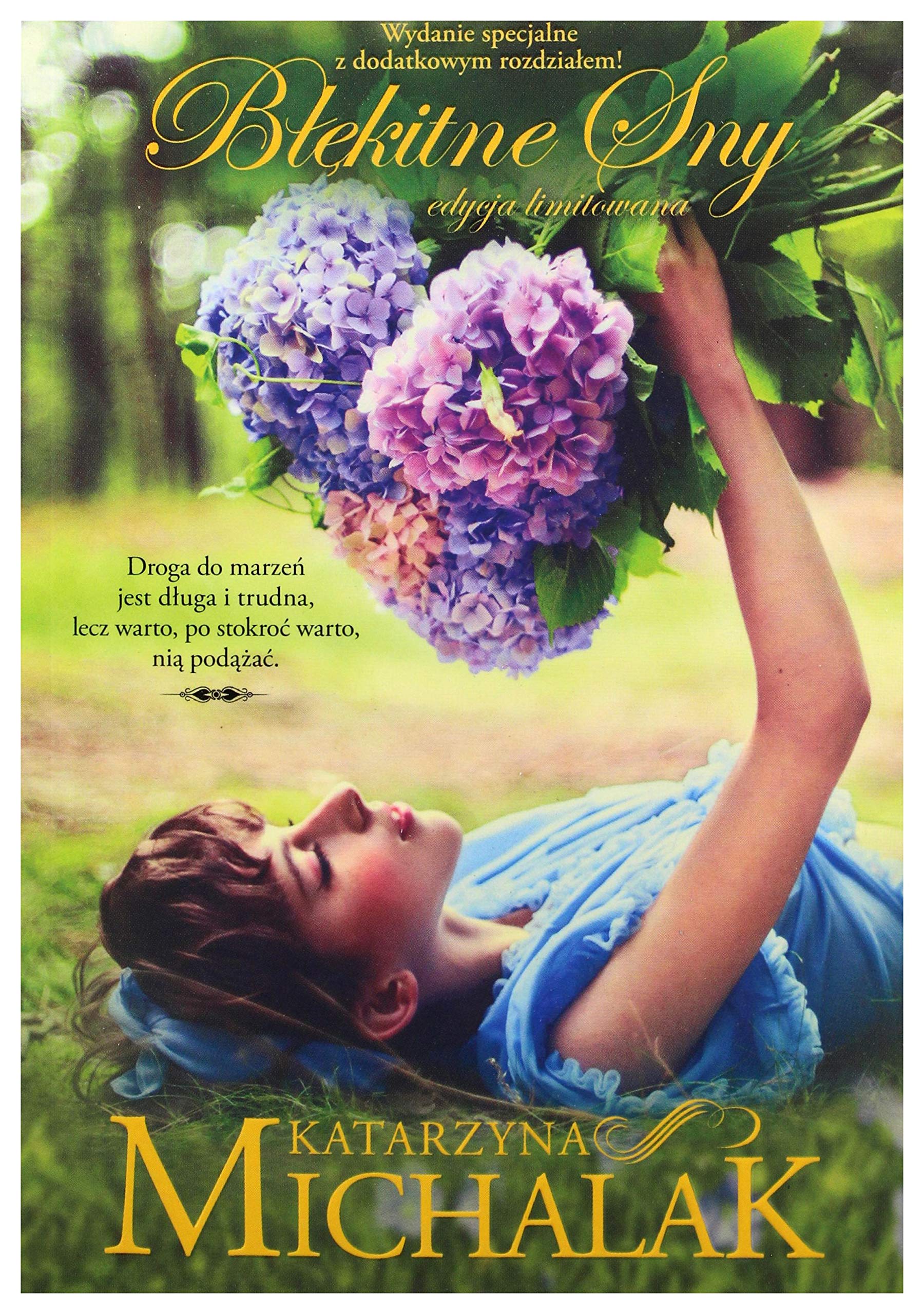 BĹÄkitne sny - Katarzyna Michalak Books