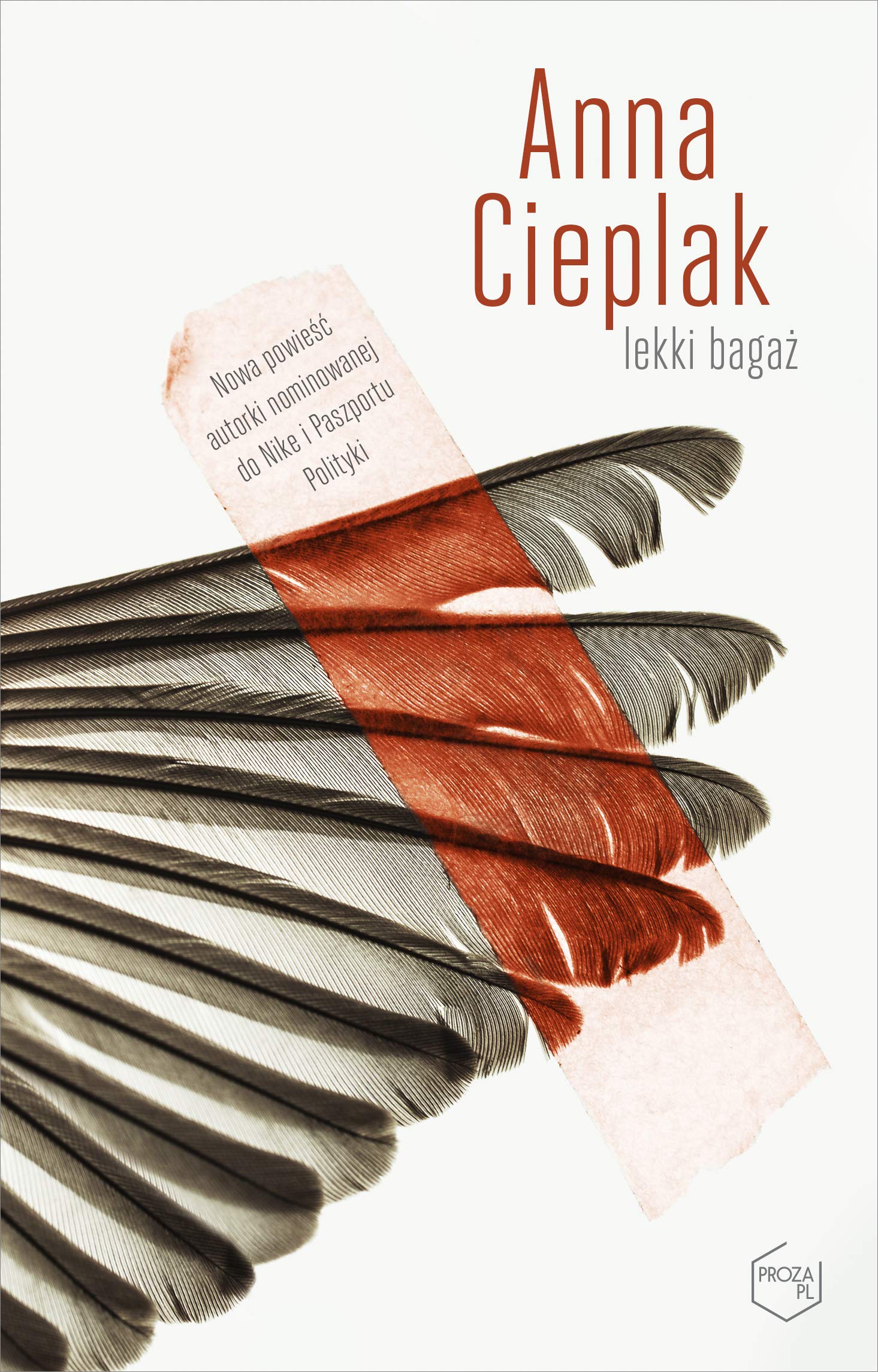 Lekki bagaz Contemporary literature Books