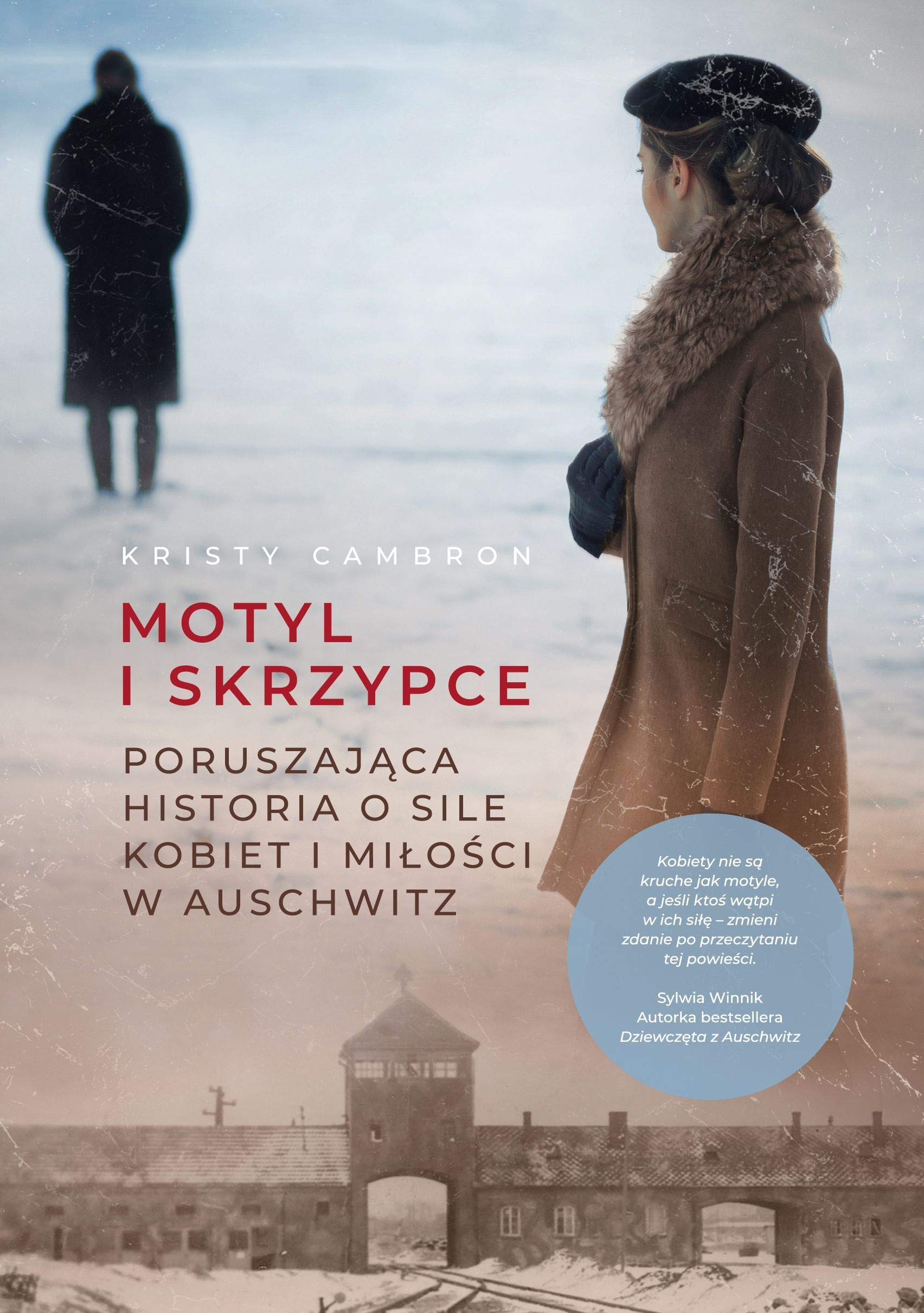 Motyl i skrzypce book