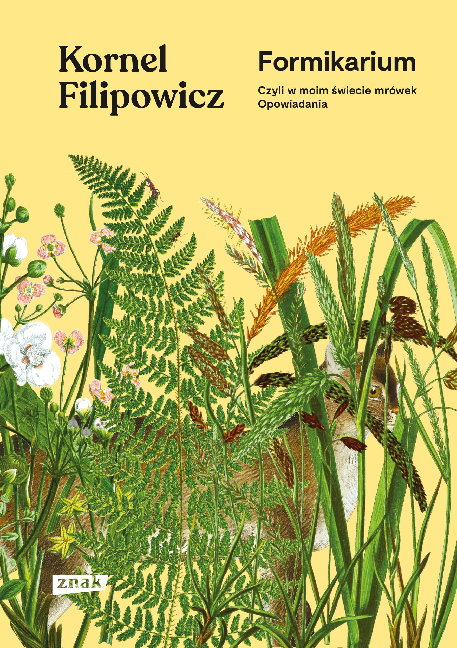 Formikarium: czyli w moim świecie mrówek Opowiadania Books