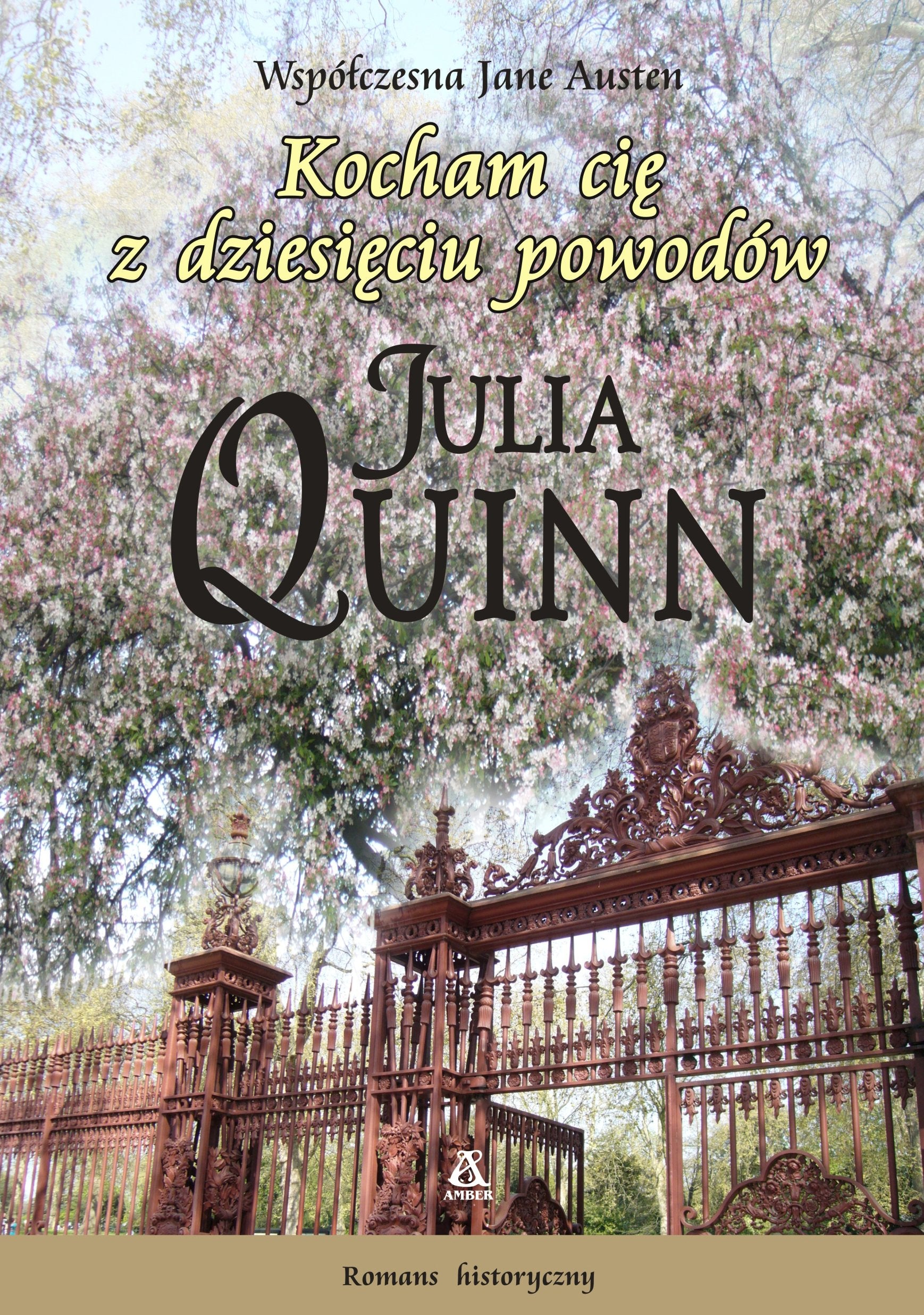 Kocham cię z dziesięciu powodów book