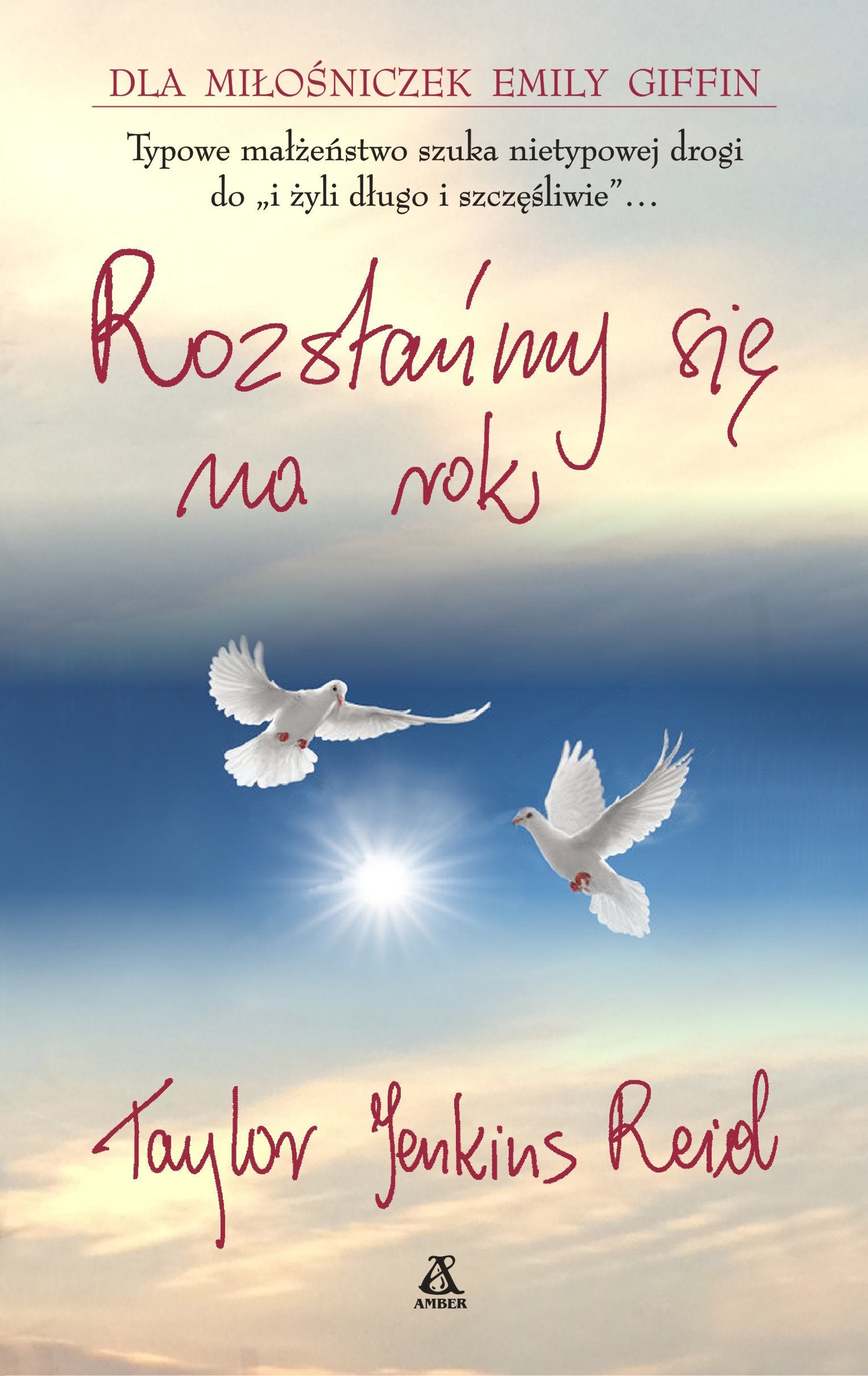 Rozstanmy sie na rok book