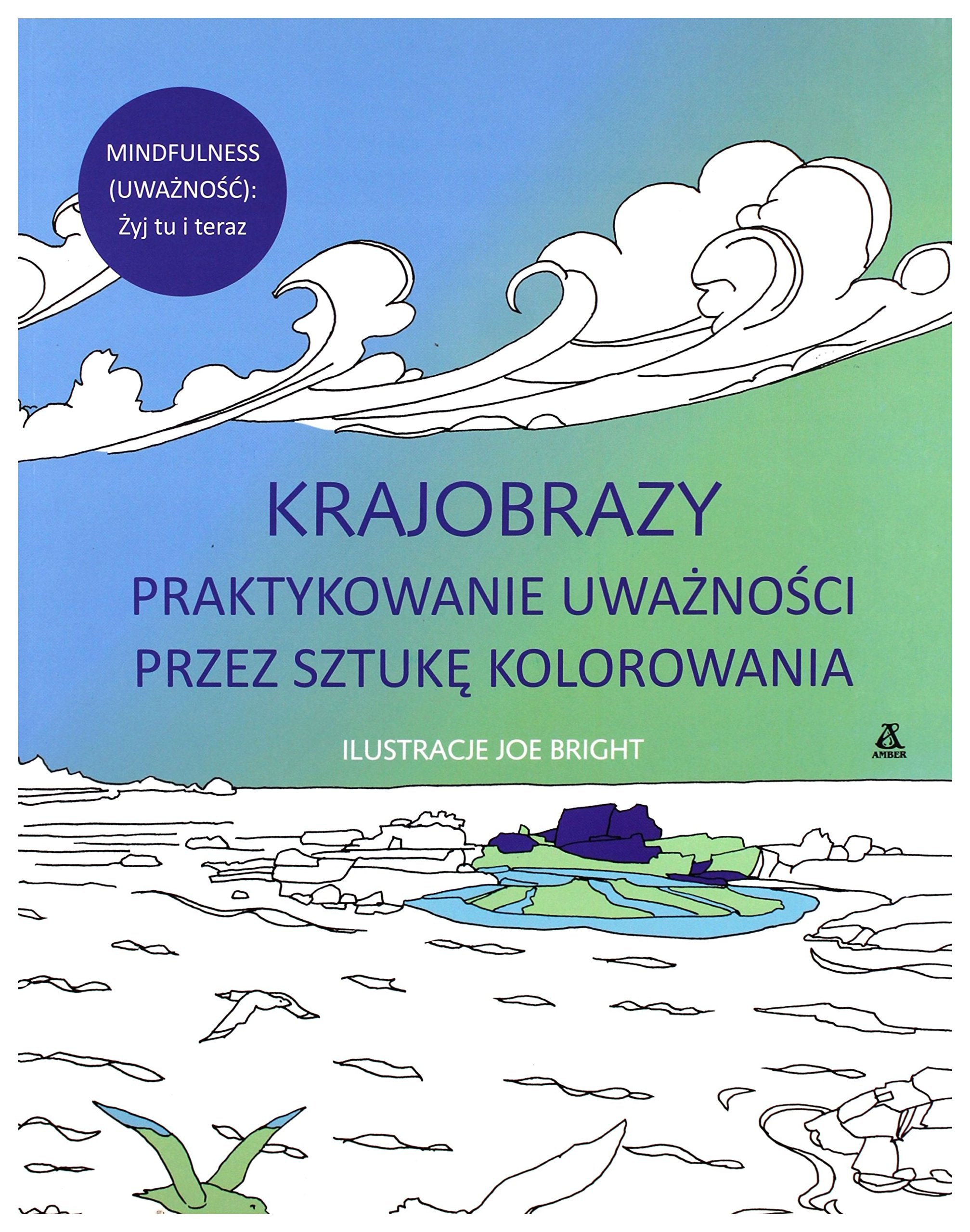 Krajobrazy. Praktykowanie uwaĹznoĹci przez sztukÄ kolorowania - Joe Bright book