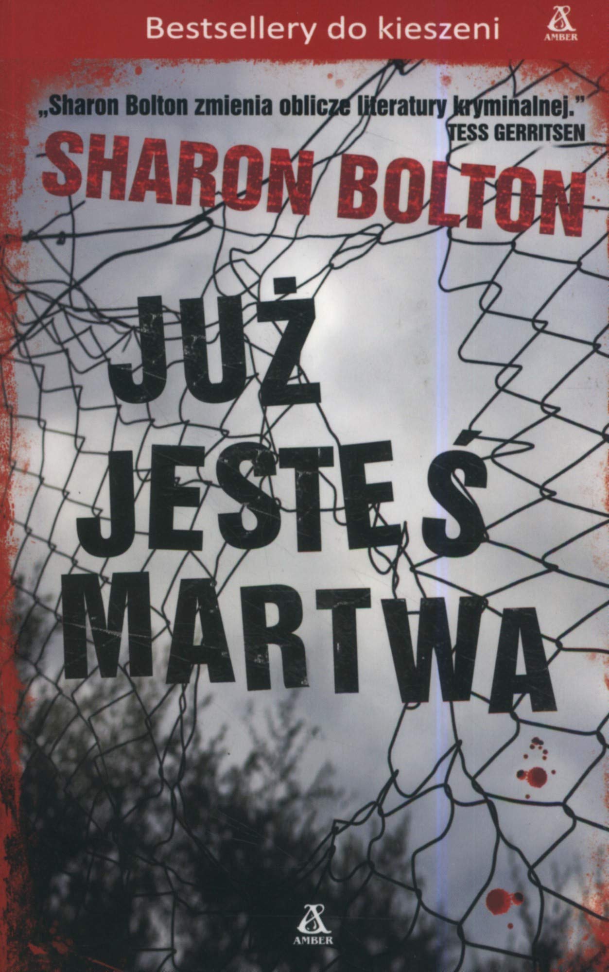JuĹz jesteĹ martwa (pocket) - S. J. Bolton Books