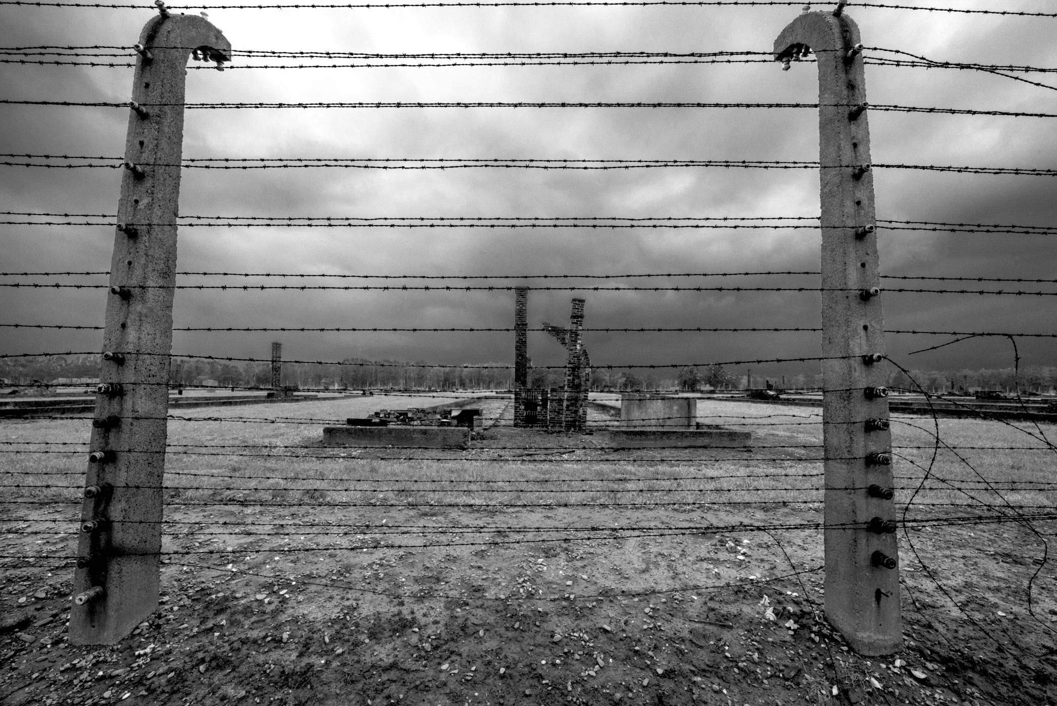 Poza horyzontem zdarzen Auschwitz book