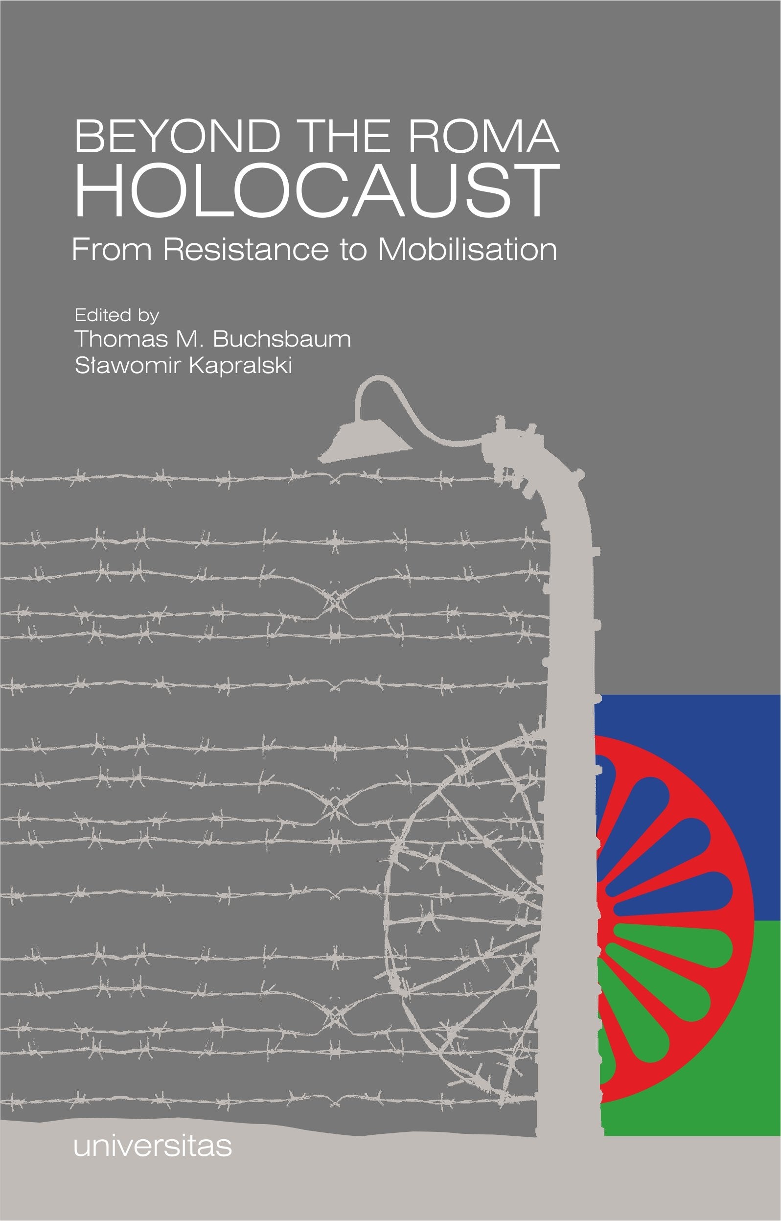 Beyond the Roma Holocaust From Resistance to Mobilisation Law