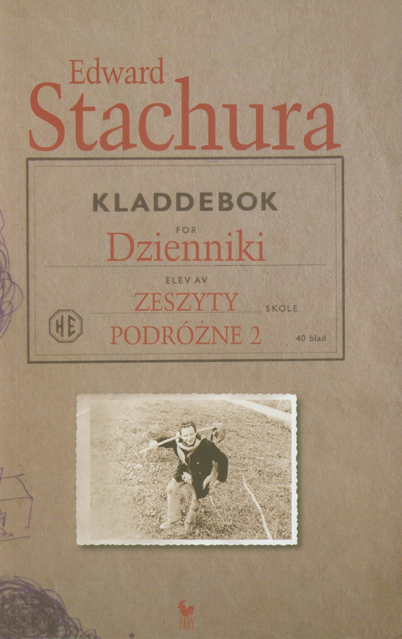 Dzienniki: Zeszyty podróżne 2 book