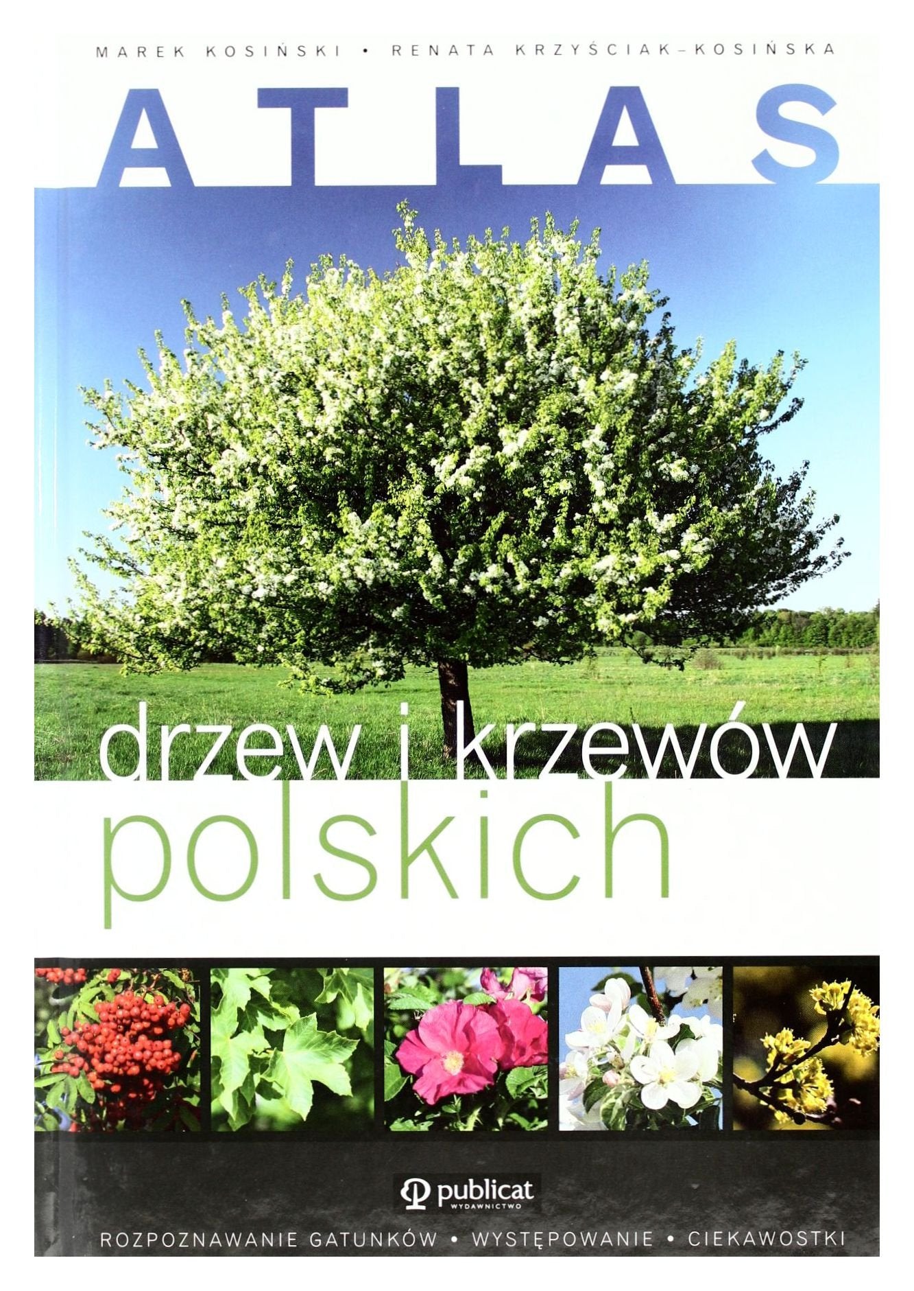 Atlas drzew i krzewow polskich Mathematics