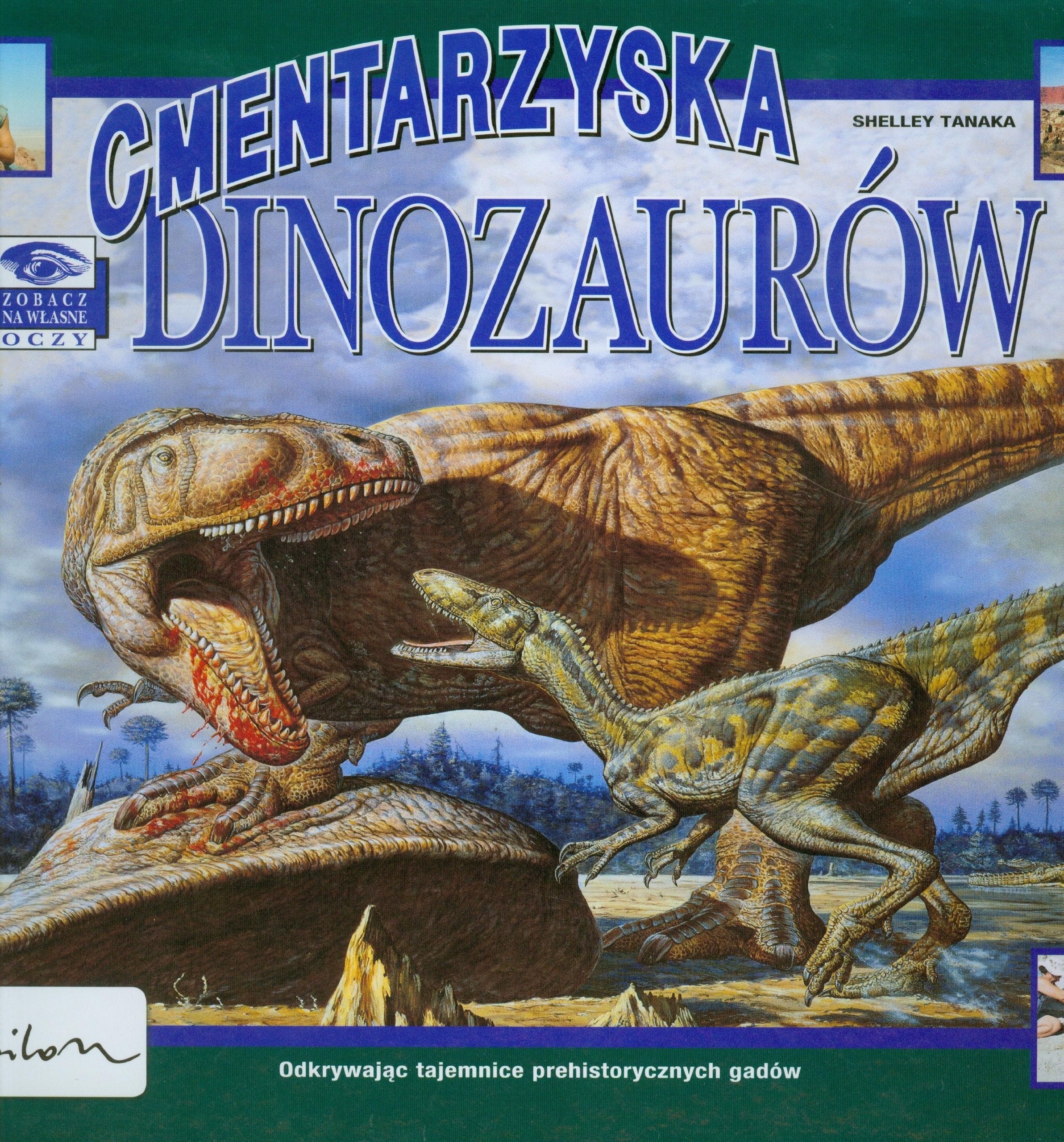 Zobacz na własne oczy Cmentarzyska dinozaurów Books