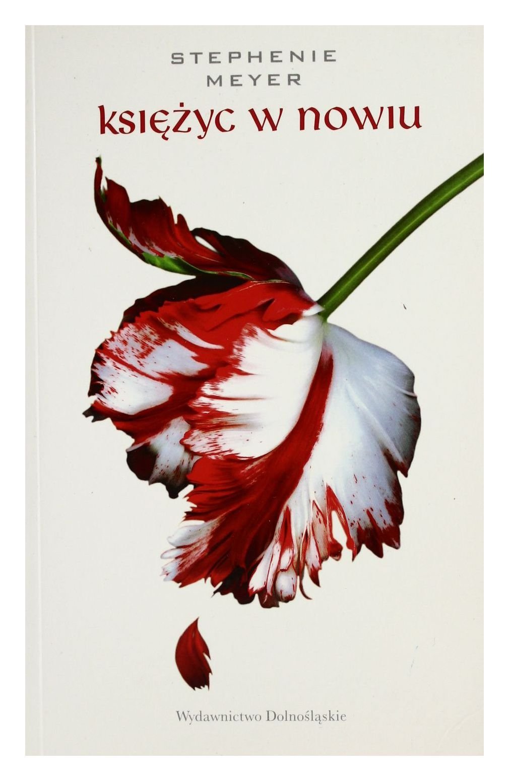 Product Image: KsięĹźyc w nowiu - Stephenie Meyer