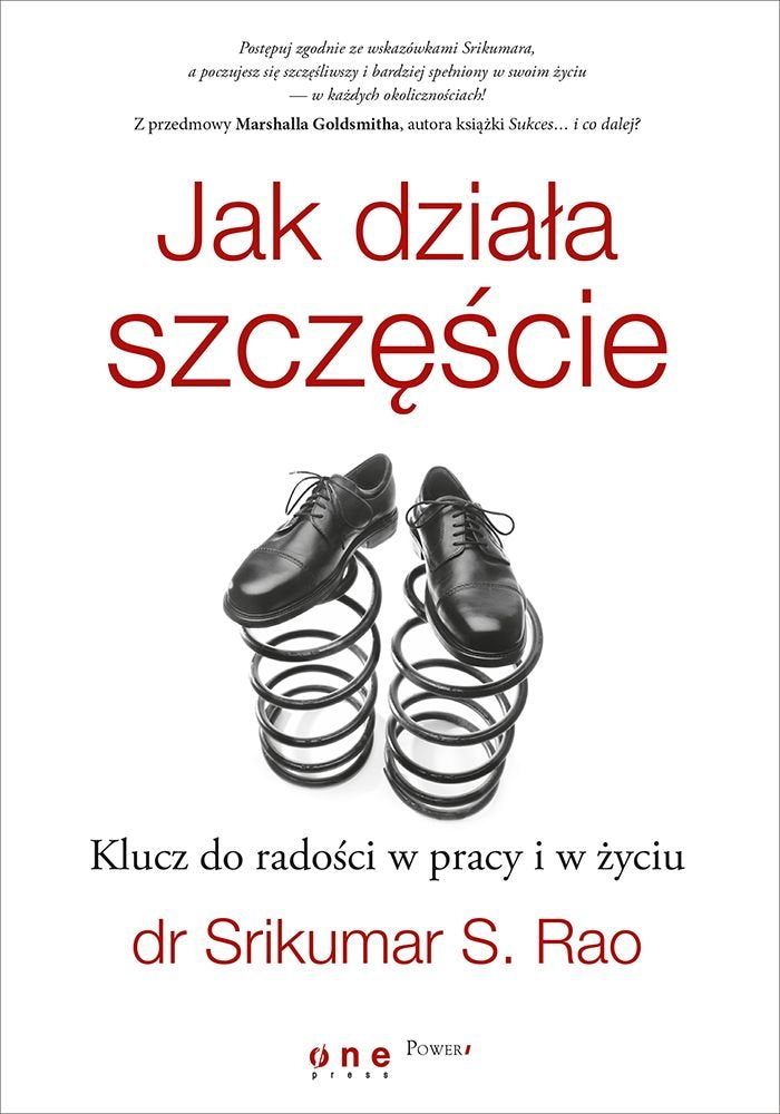 Jak działa szczęście Klucz do radości w pracy i w życiu book