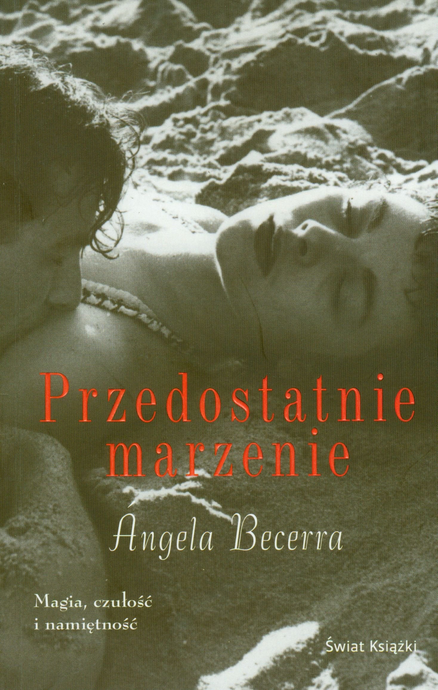 Przedostatnie marzenie Books