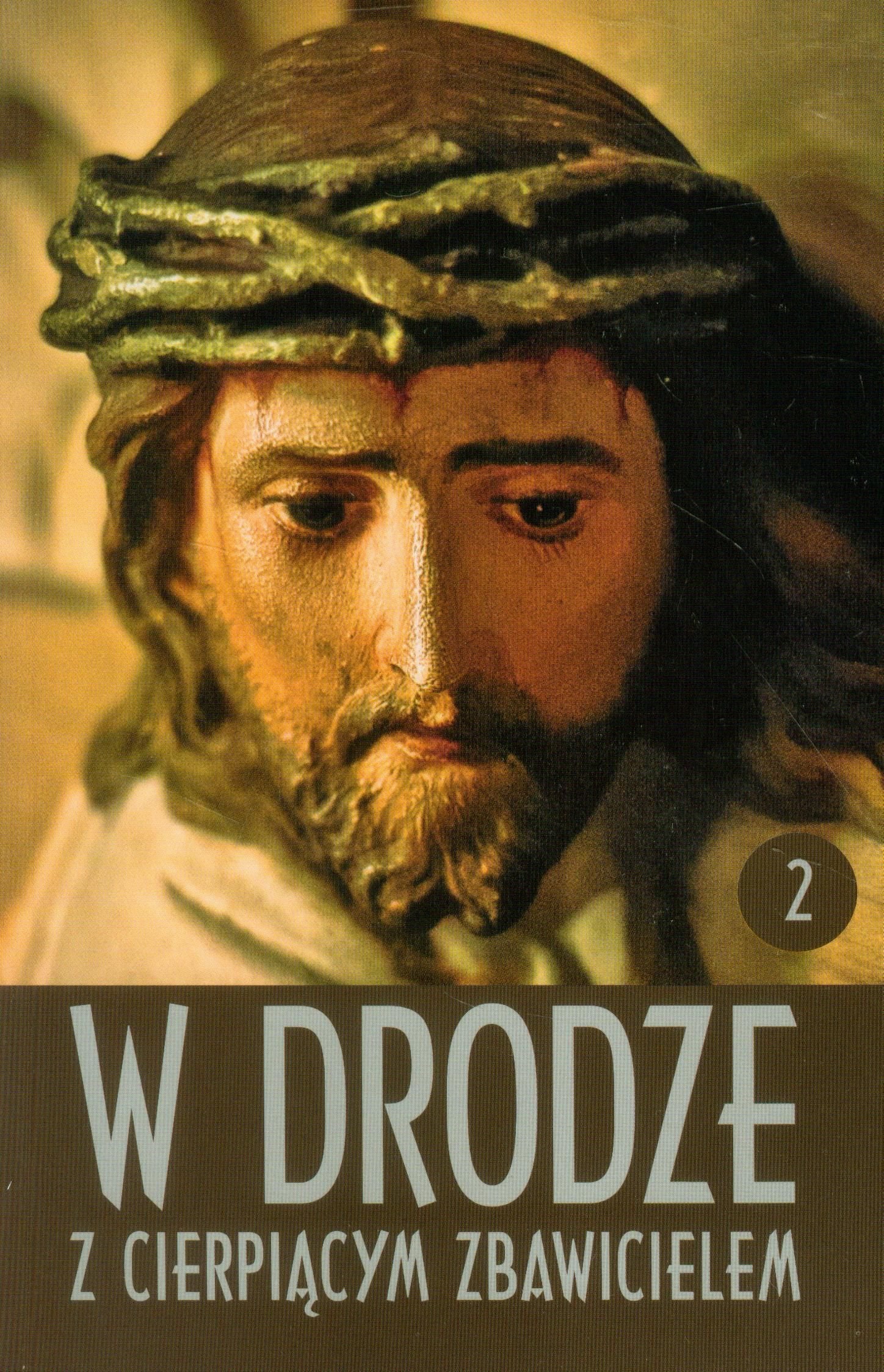W drodze z cierpiacym Zbawicielem Tom 2 Social Sciences