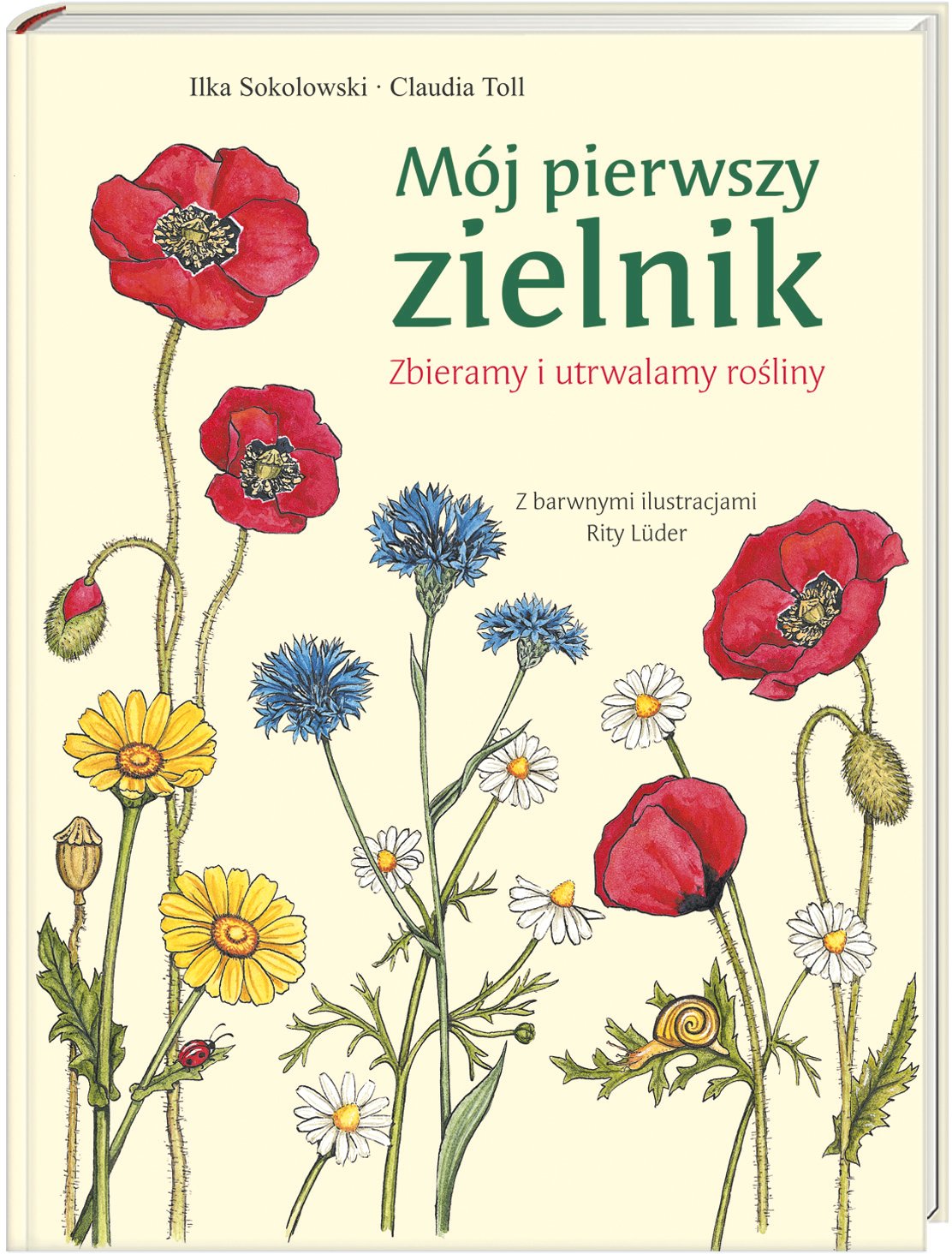 Mój pierwszy zielnik: Zbieramy i utrwalamy rośliny Books