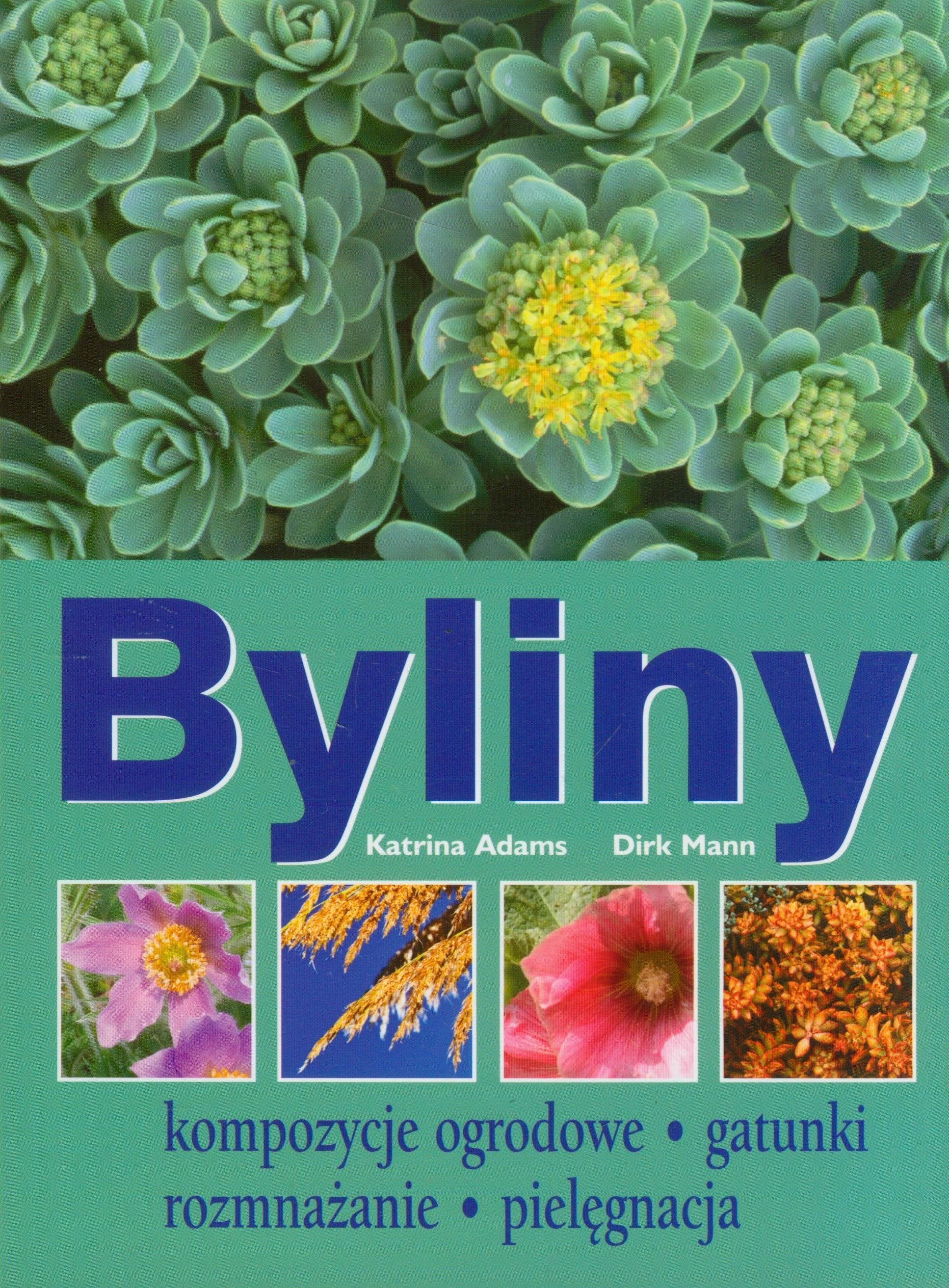 Byliny: Kompozycje ogrodowe gatunki rozmnażanie pielęgnacja Books