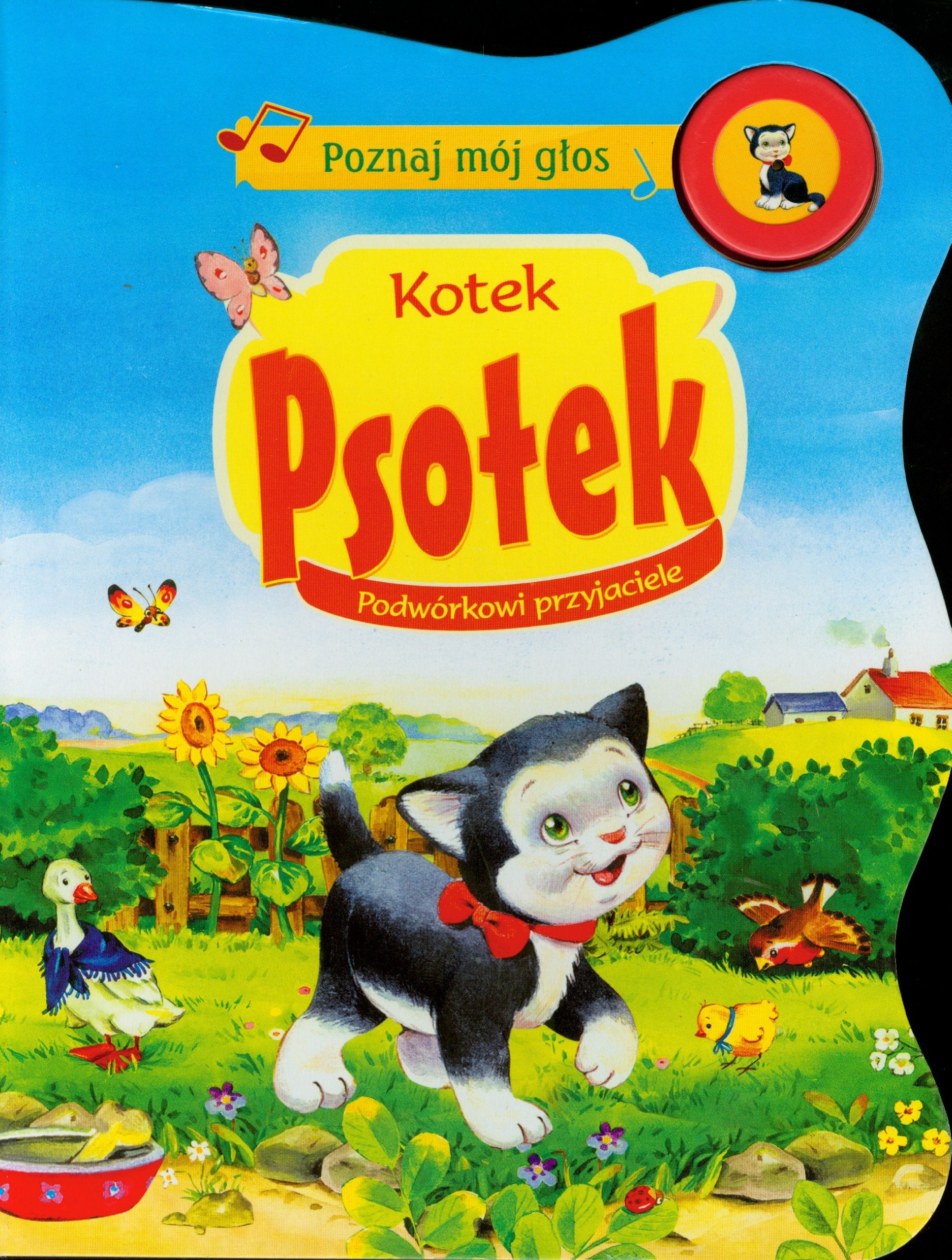 Poznaj mój głos Kotek Psotek Podwórkowi przyjaciele book