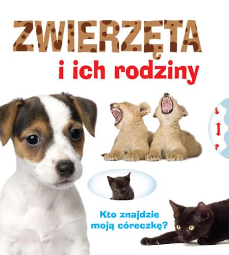 Zwierzeta i ich rodziny book
