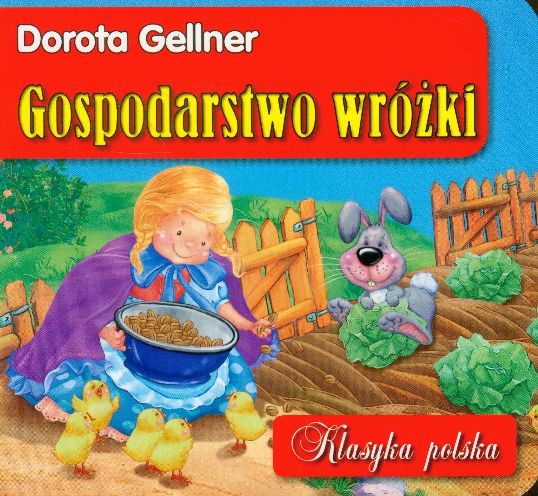 Gospodarstwo wróżki (KLASYKA POLSKA) Books