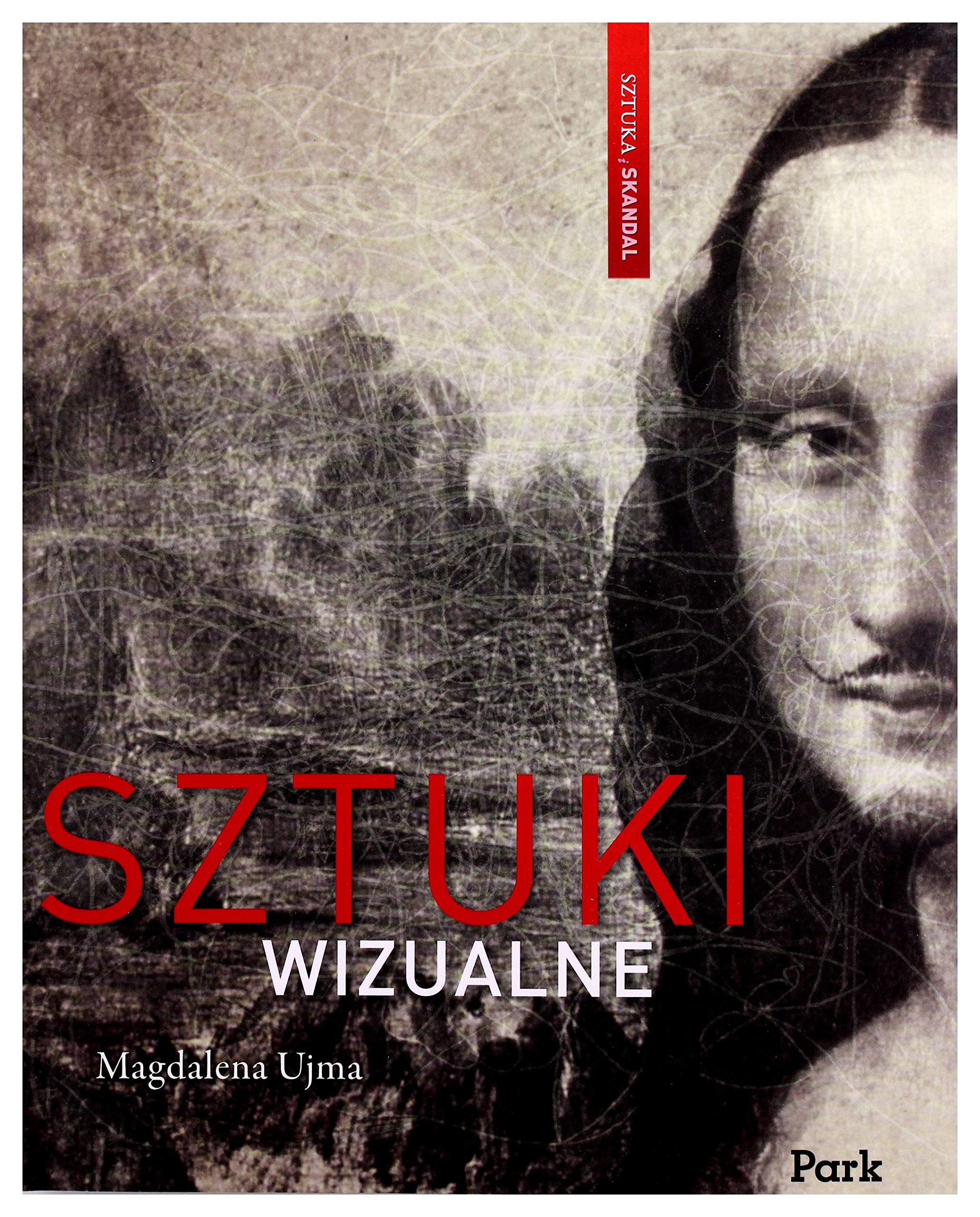 Sztuka i skandal. Sztuki wizualne Books