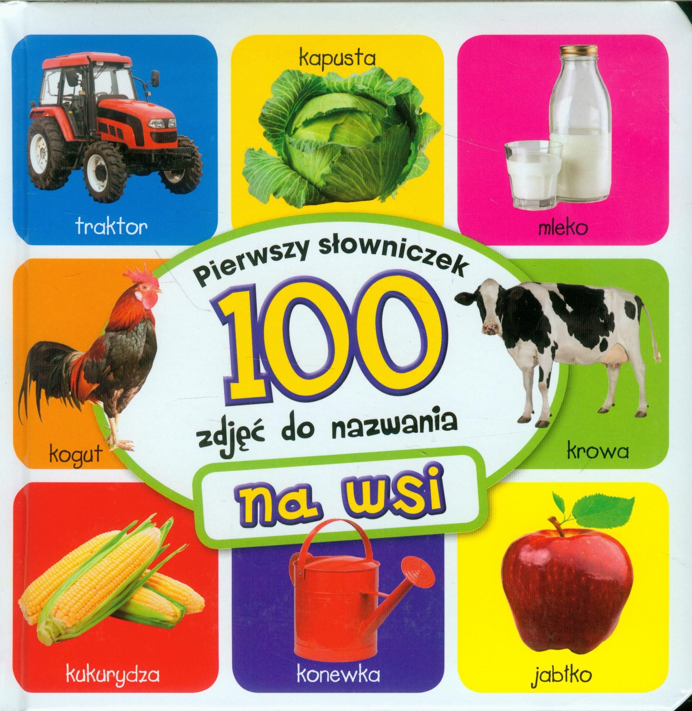 Na wsi Pierwszy slowniczek 100 zdjec do nazwan book