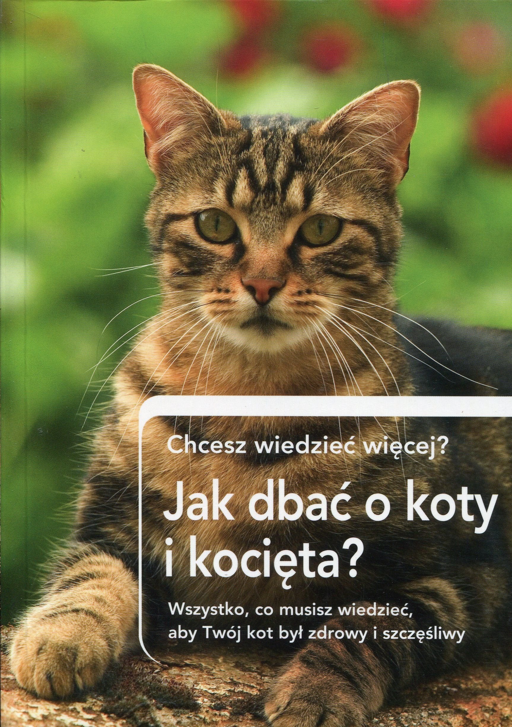 Jak dbac o koty i kocieta? Chcesz wiedziec wiecej?: Wszystko, co musisz wiedzieć, aby Twój kot był zdrowy i szczęśliwy Pets